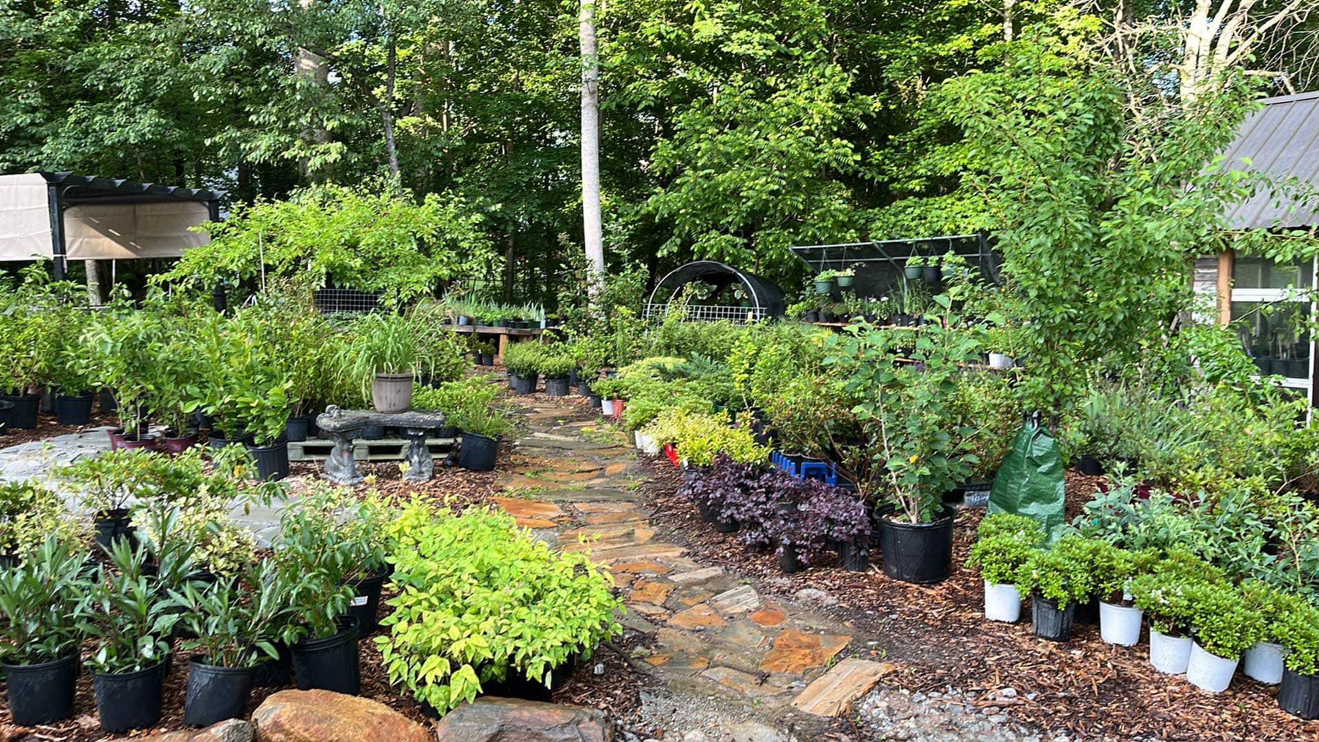 Springwater Sprouts Propagation and Plant Nursery