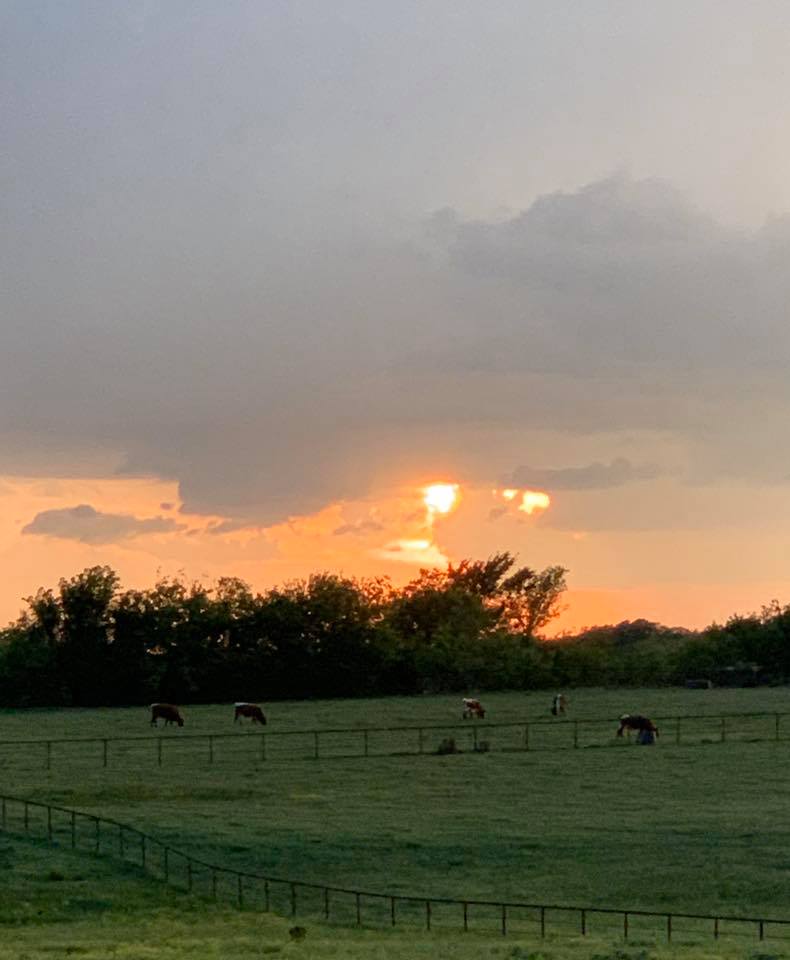 NoName Ranch Beef | Wynnewood OK