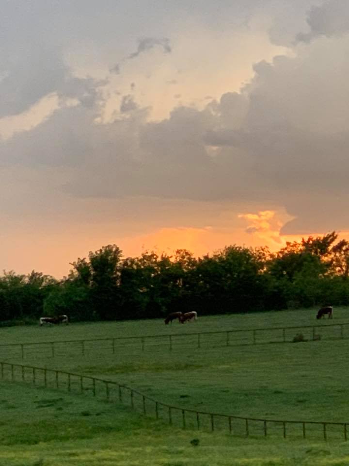 NoName Ranch Beef | Wynnewood OK