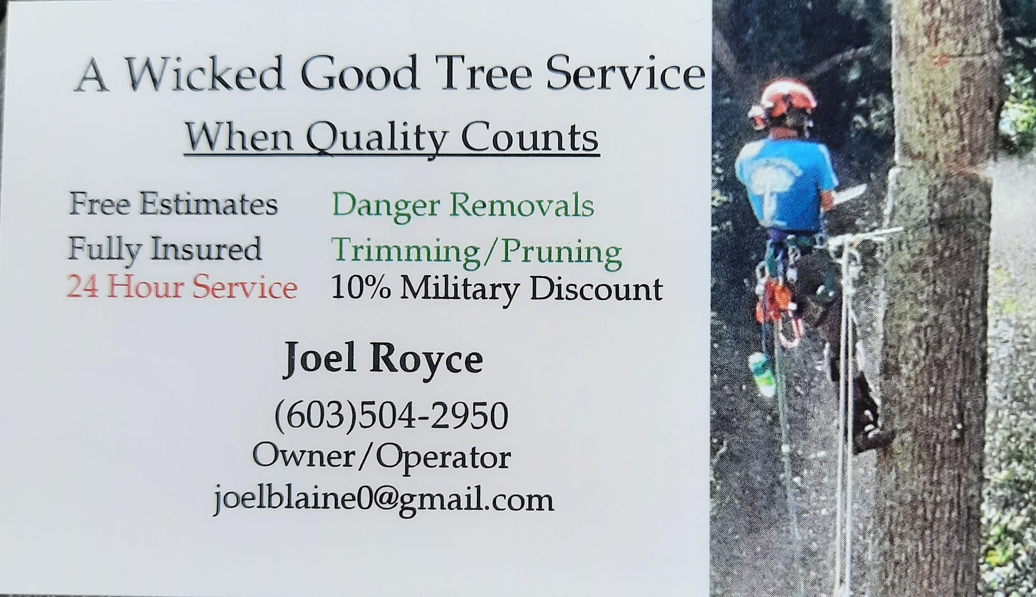 A Wicked Good Tree Service LLC | Currituck NC