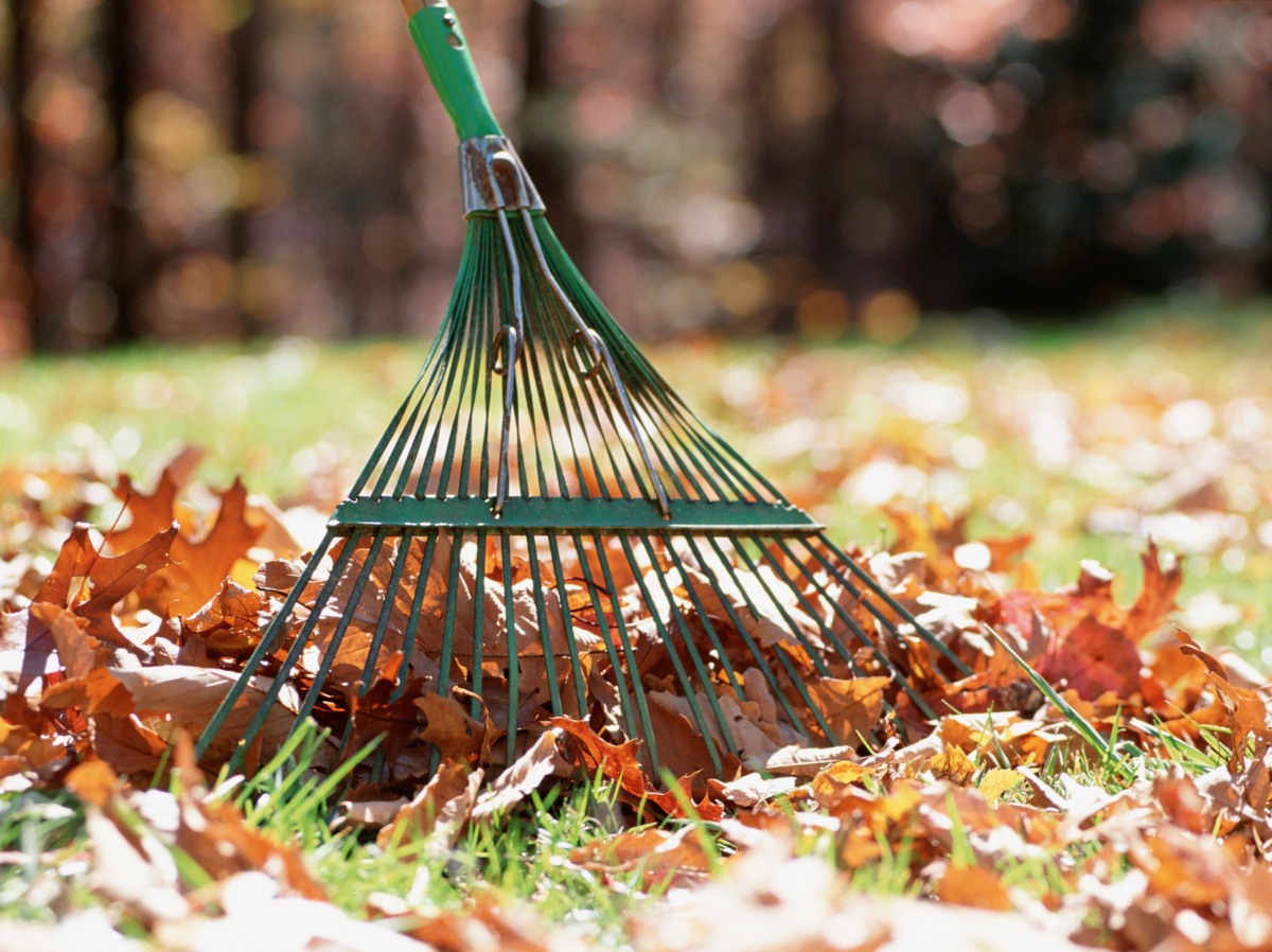 Alpine - Are you making the most of these perfect autumn days to get ...