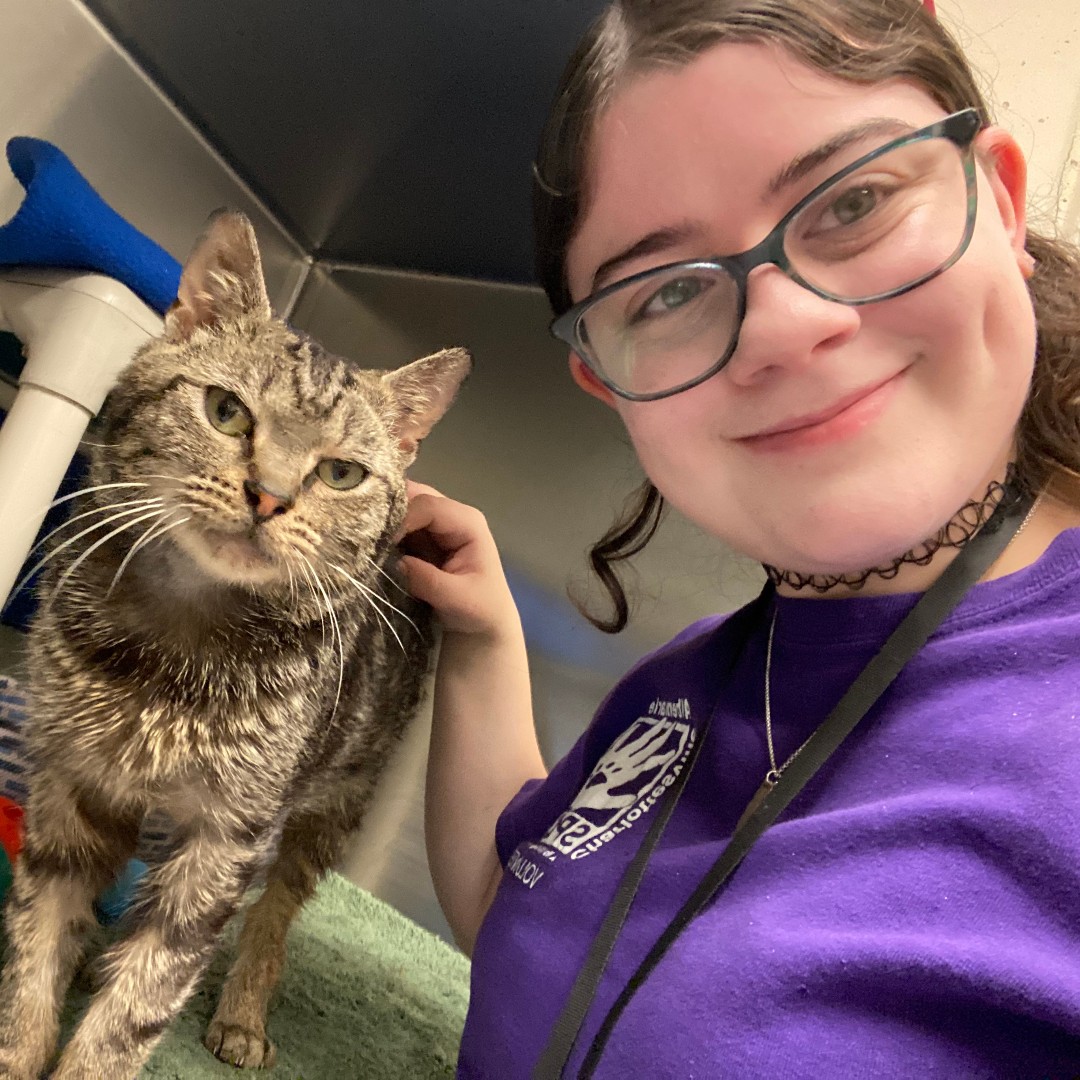 This... - Charlottesville-Albemarle SPCA | Facebook