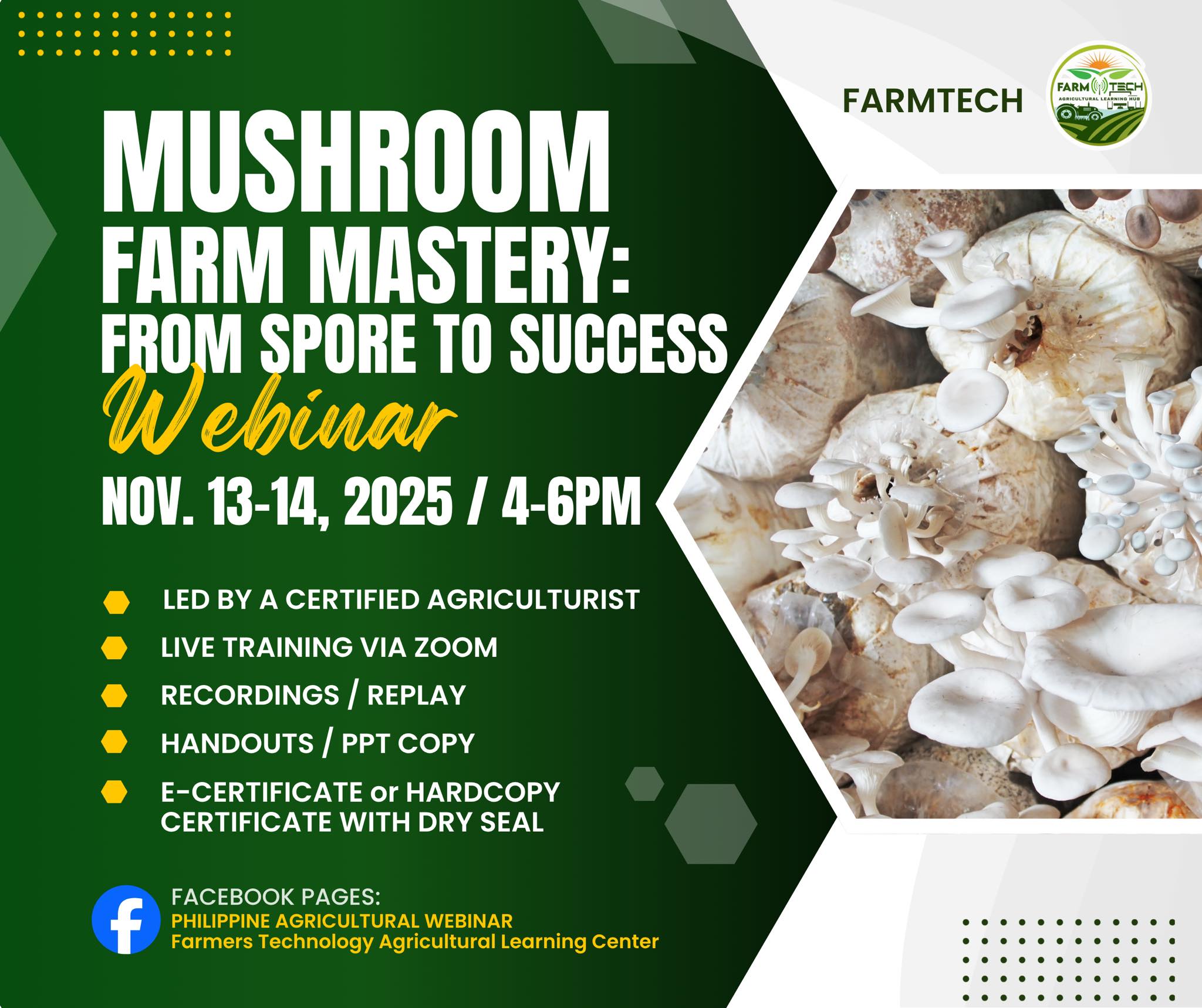 Philippine - 🍄 MAGSISIMULA NA MAMAYA! Mushroom Farm Mastery: From Spore ...