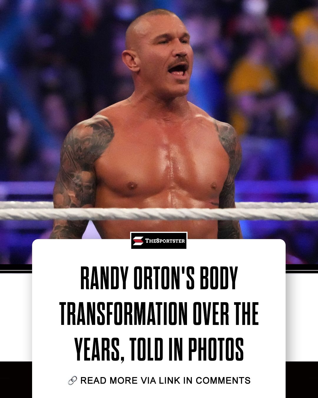 TheSportster - Randy Orton is a third-generation WWE superstar who ...