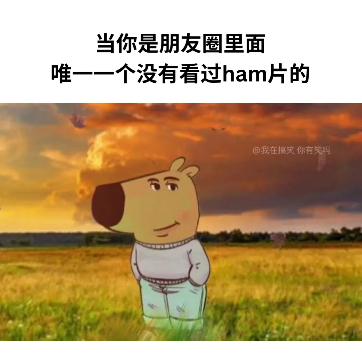 我在搞笑 你有笑吗？ - chill . IG: areyoulaughing.meme . . #梗 #梗圖... | Facebook