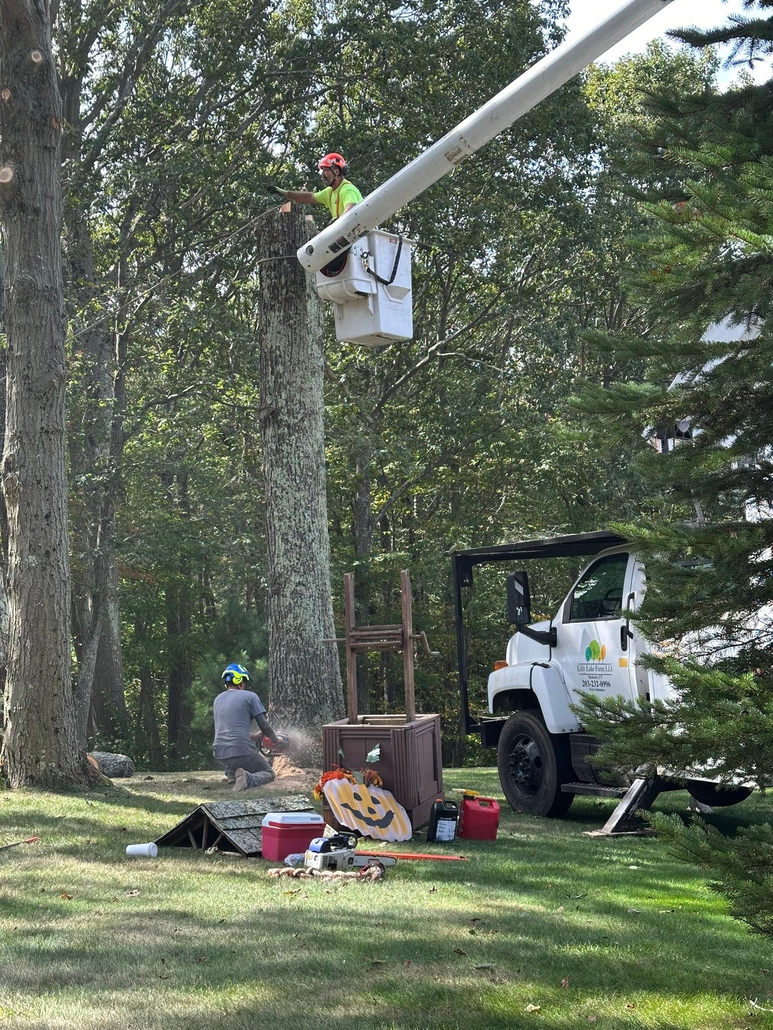 Lilly Lake Farm | Wolcott CT