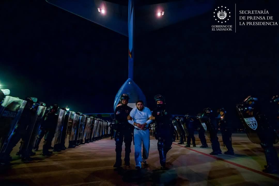 Mi Chero - Mi Chero added a new photo.