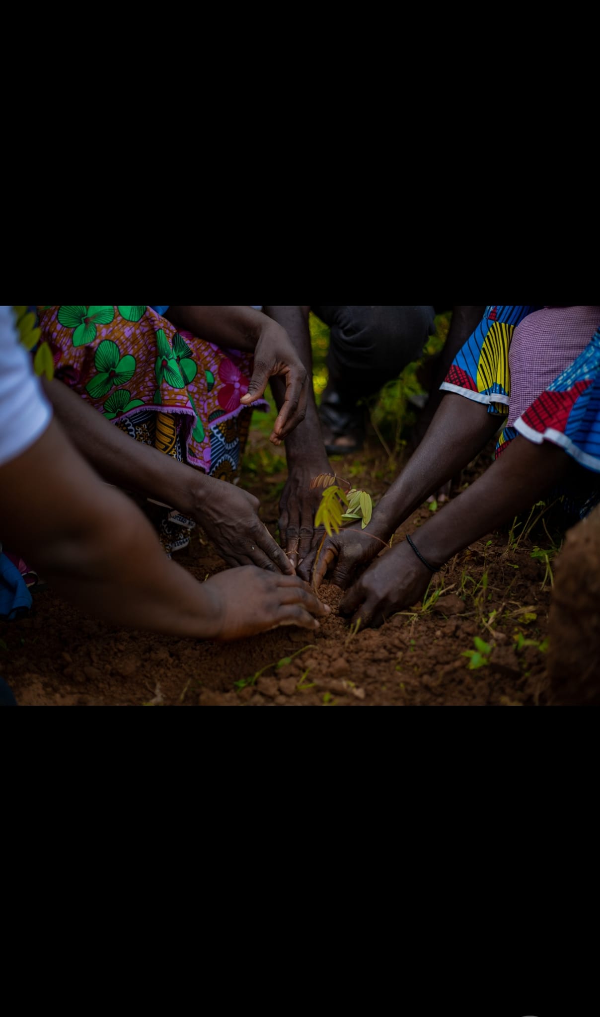 Ghana Rabbit Farmers... - Ghana Rabbit Farmers Network.