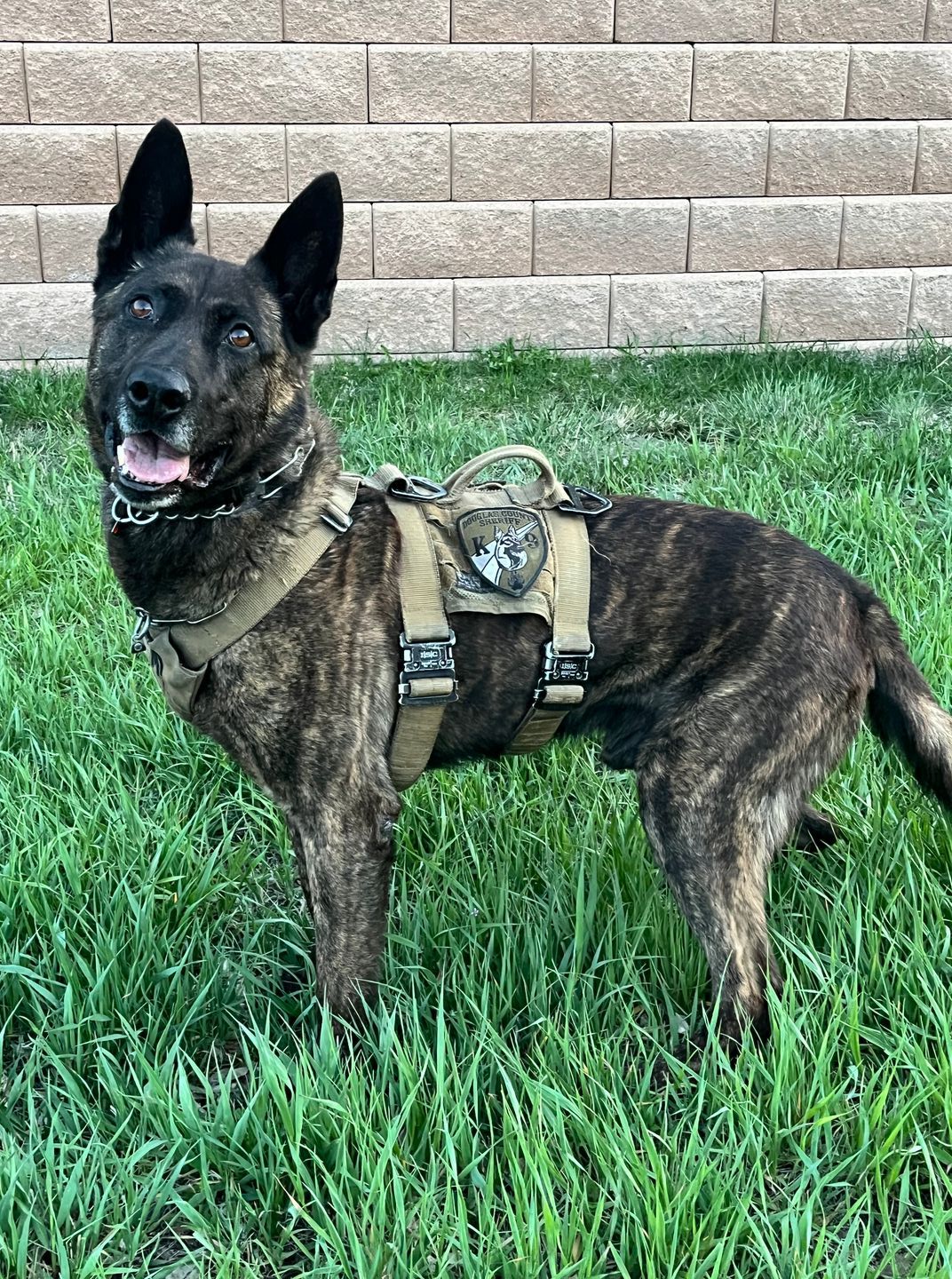 🎉 Happy 9th Birthday to... - Douglas County Sheriff's Office | Facebook