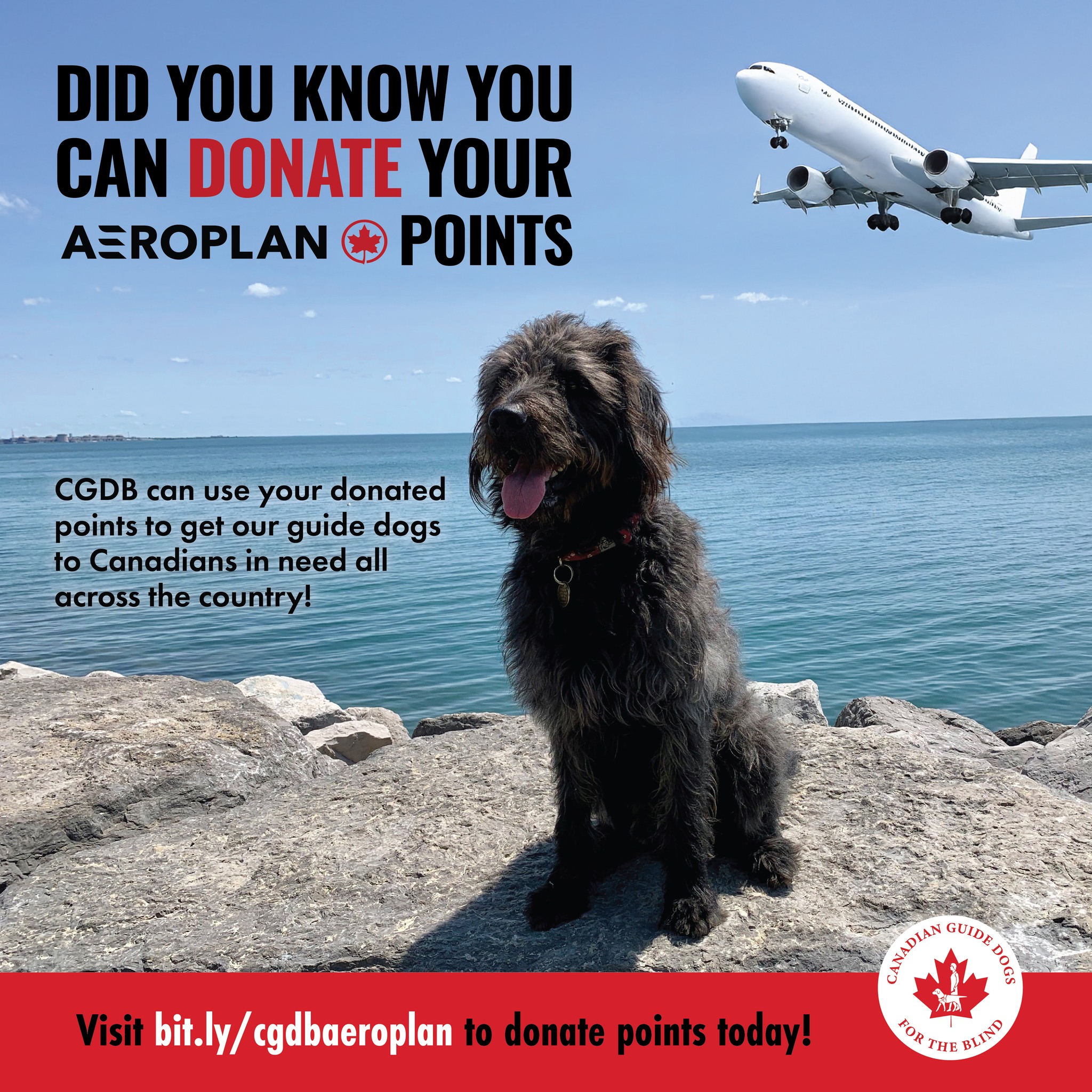 Canadian Guide Dogs for the Blind
