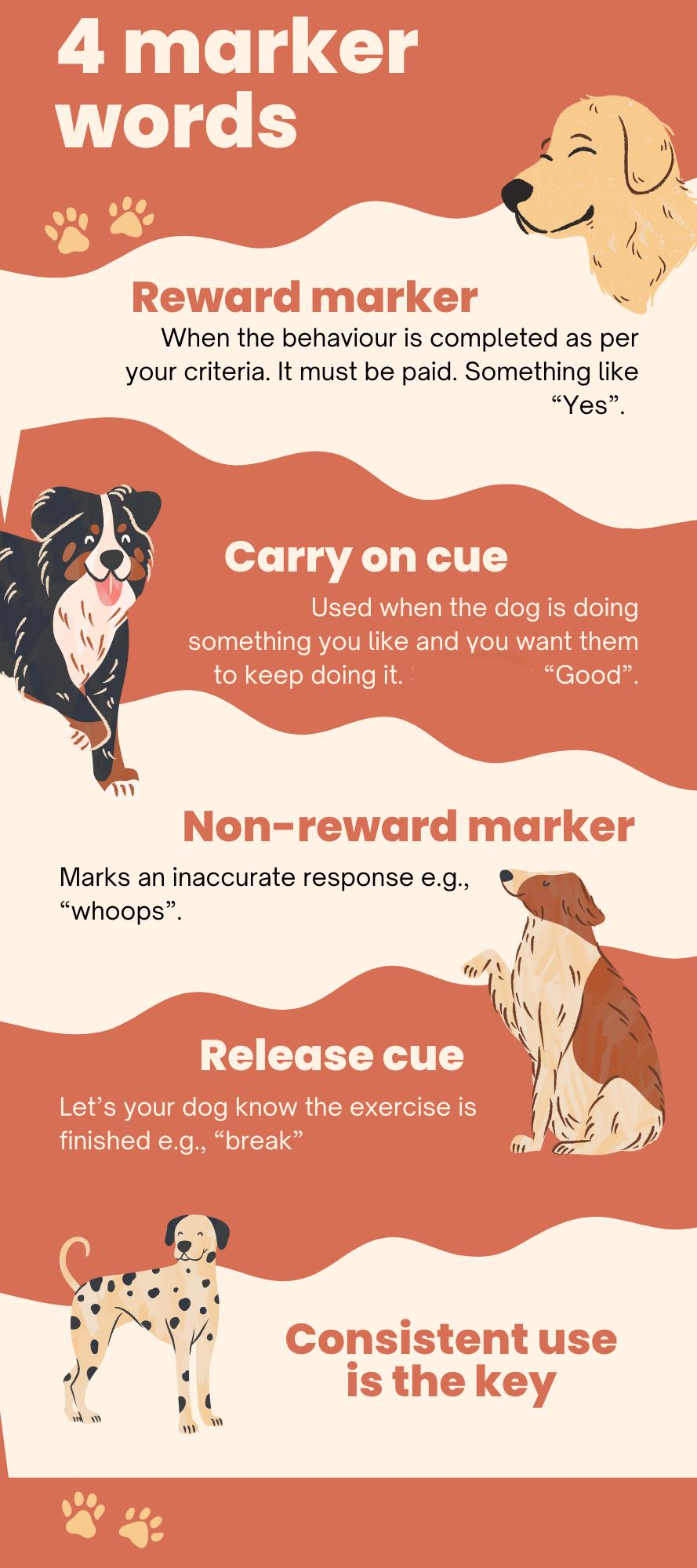 An... - Greater Victoria Dog Obedience Training Club | Facebook