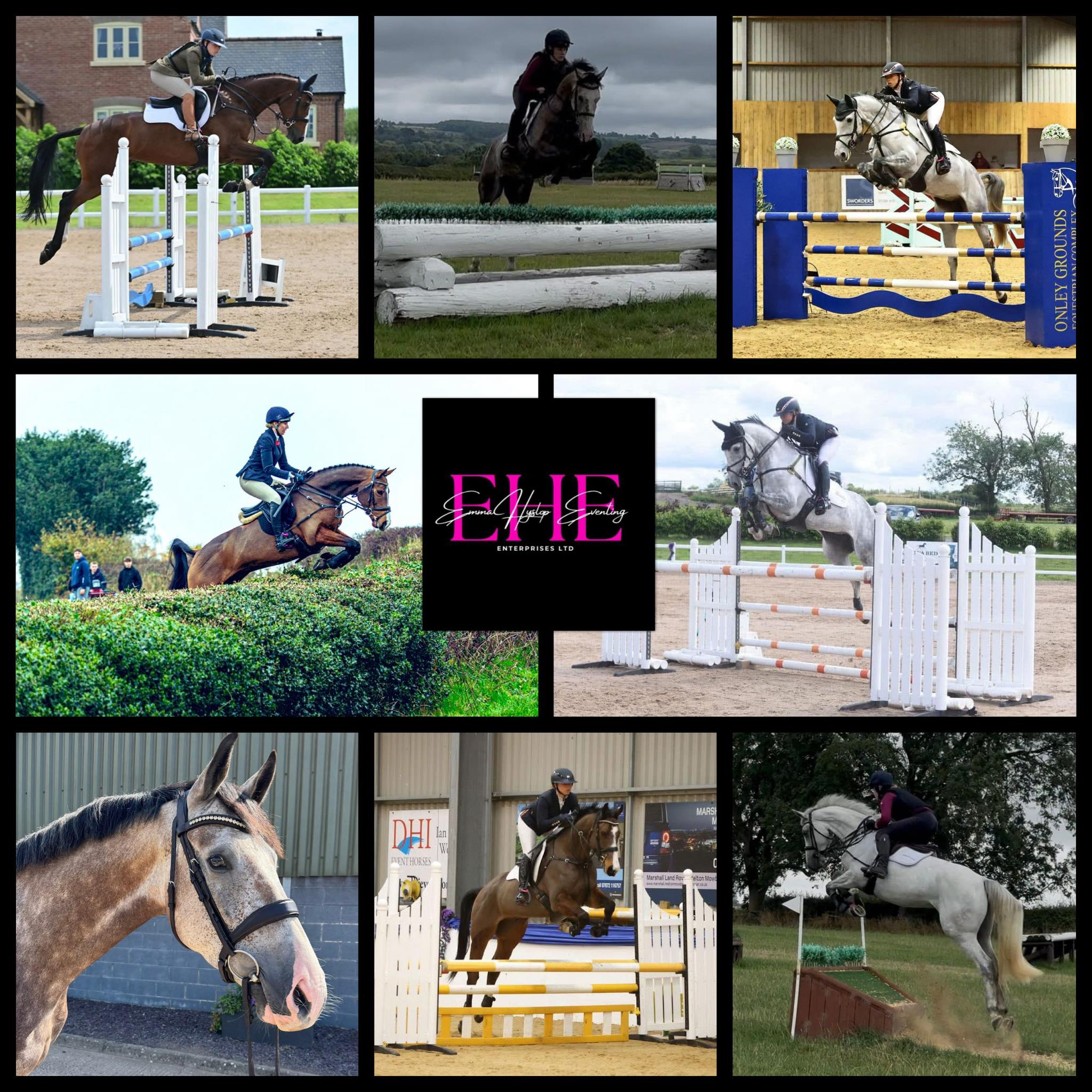 Willinga Park has confirmed that Olympic dressage horse Quincy B