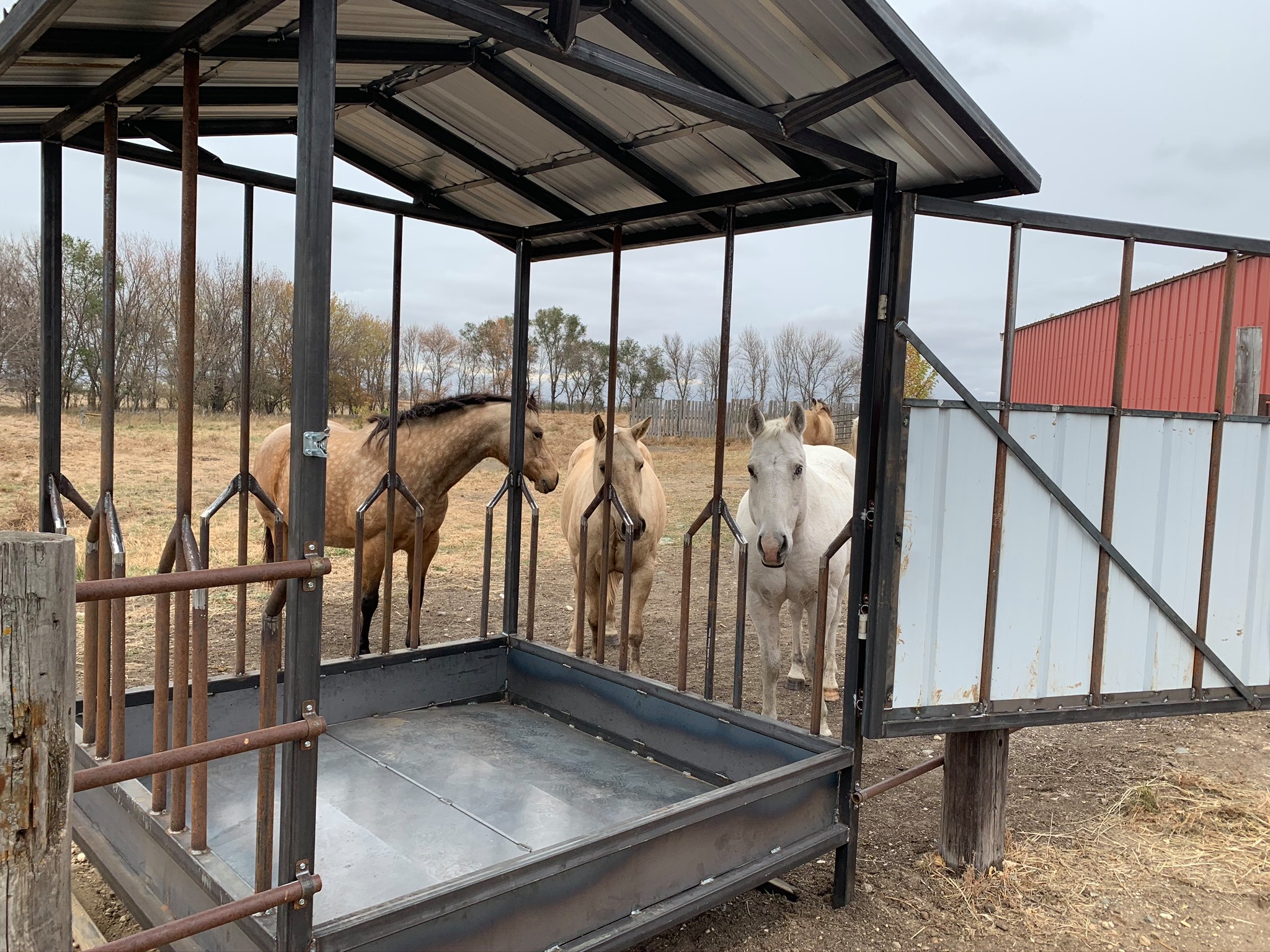 Big Head Bale Feeder