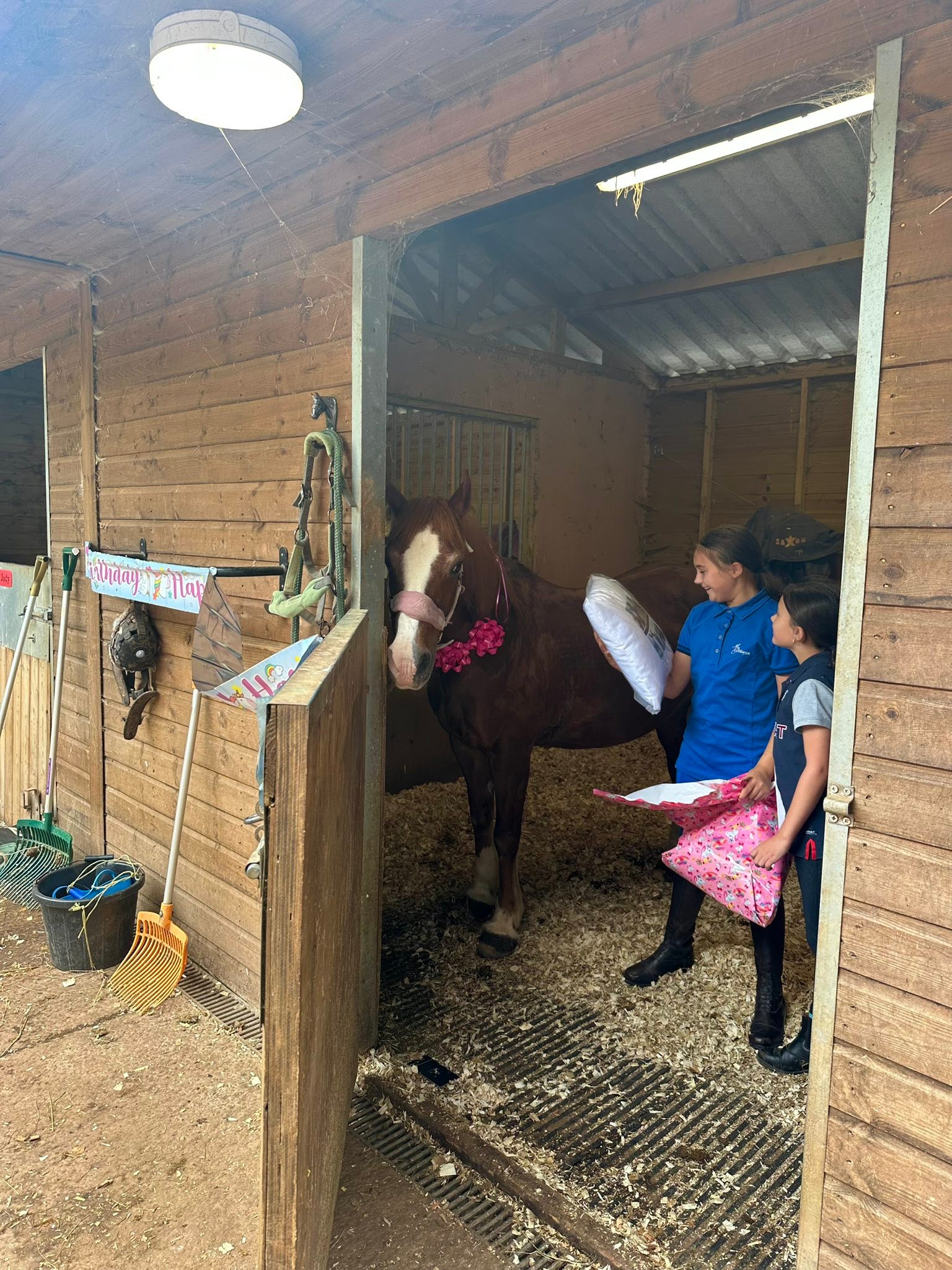 ONE 2 ONE Riding School