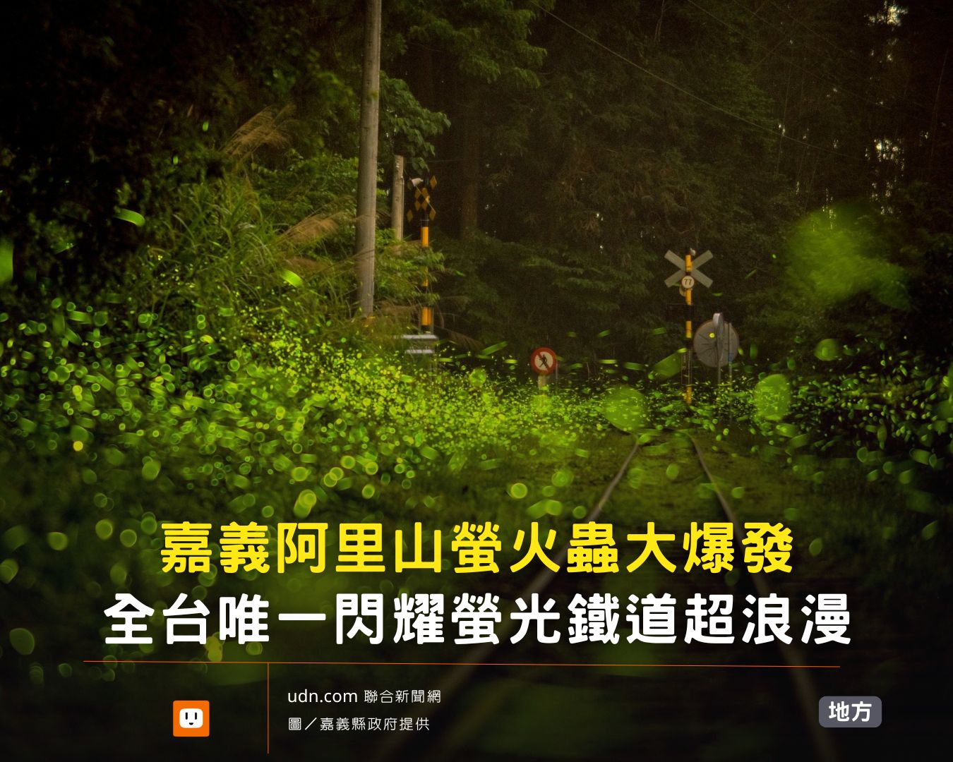 udn.com 聯合新聞網 - 好像仙境🤩 【嘉義阿里山螢火蟲大爆發 全台唯一閃耀螢光鐵道超浪漫】 | Facebook