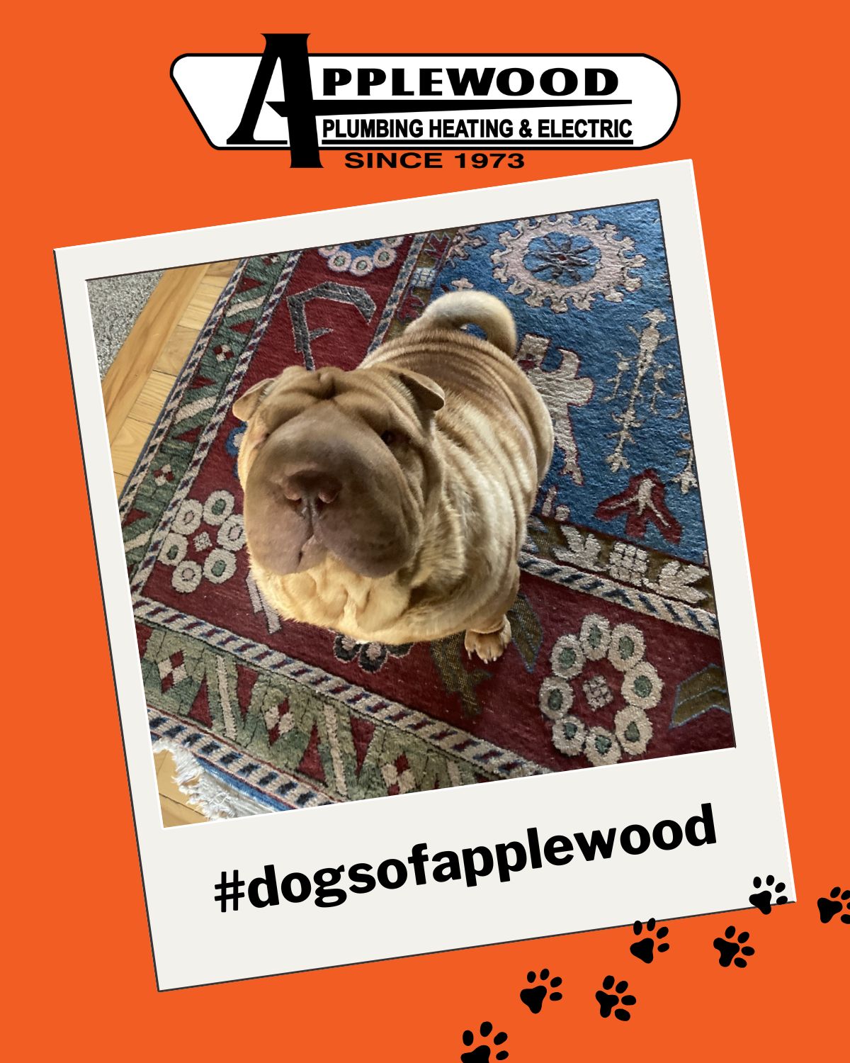 Every home has its... - Applewood Plumbing Heating & Electric | Facebook