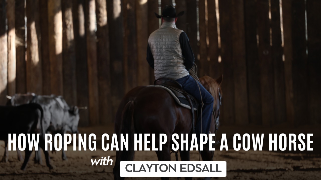 Roping.com - 𝘽𝙖𝙩𝙩𝙡𝙚 𝙊𝙪𝙩 𝙤𝙛 𝙖 𝙎𝙡𝙪𝙢𝙥 𝘝𝘪𝘴𝘶𝘢𝘭𝘪𝘻𝘦 I’ve gotten to where I ...