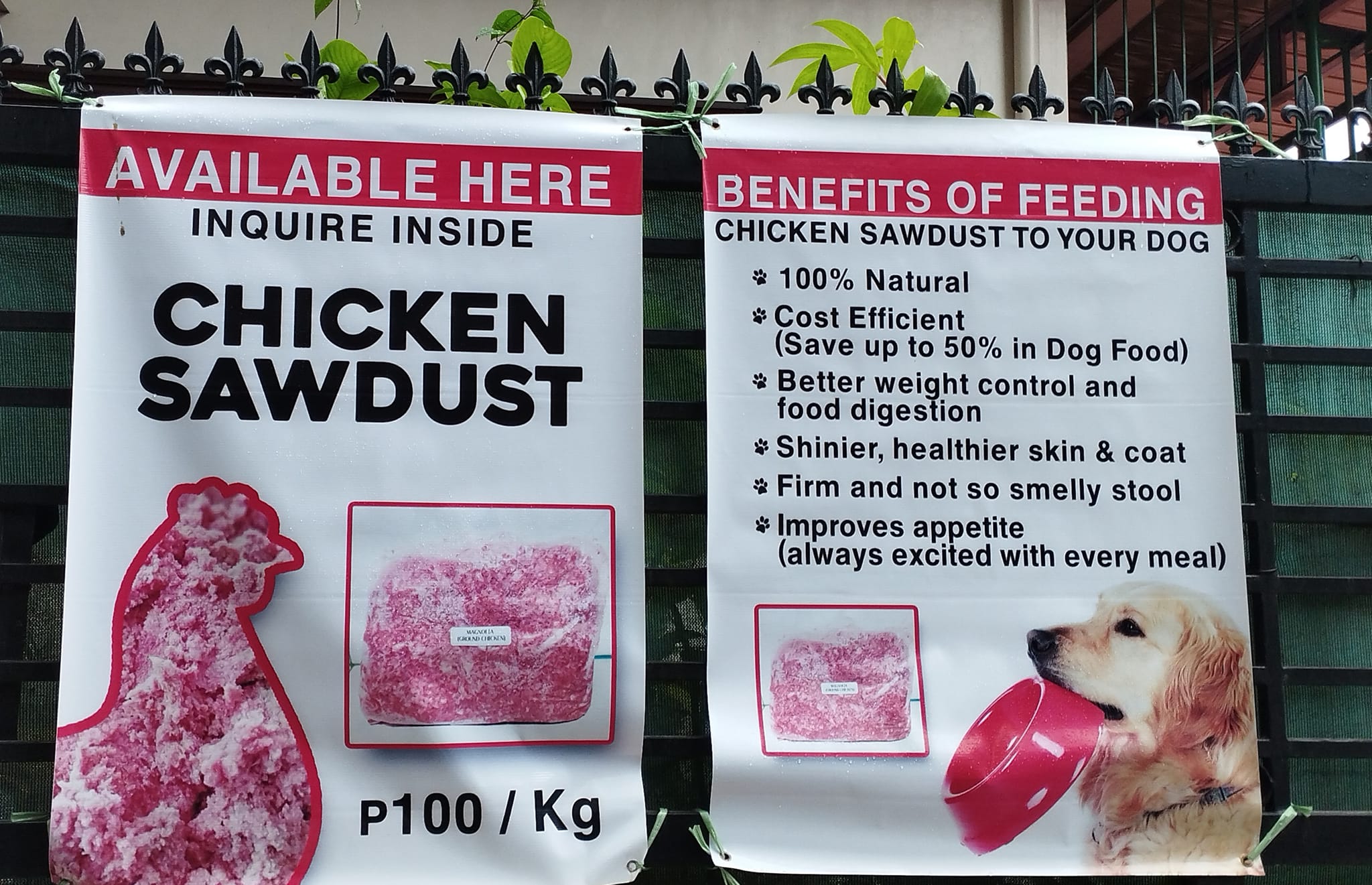 Chicken Sawdust Sta. Rosa | Santa Rosa