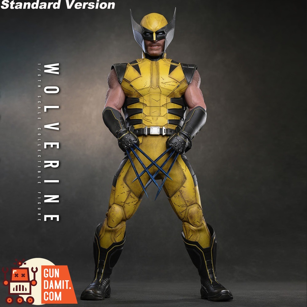 Hot Toys 1/6 Marvel's Wolverine standard version figure