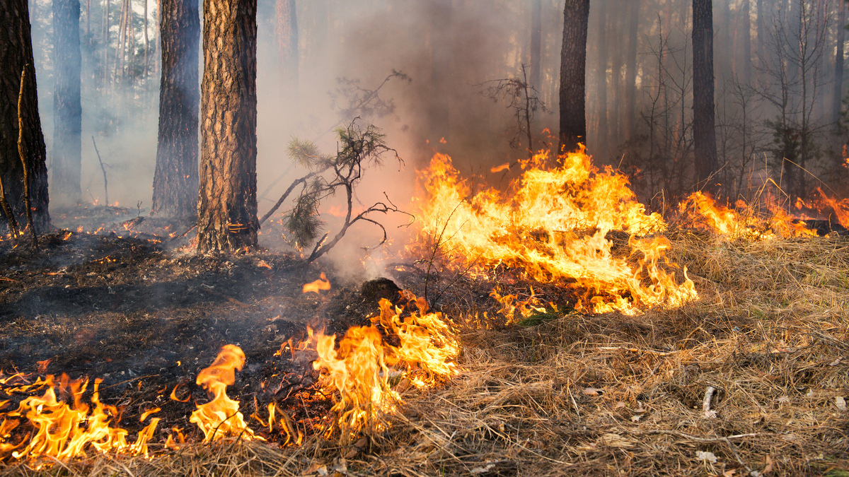 Two Rocks Volunteer Bush Fire Brigade | Two Rocks WA