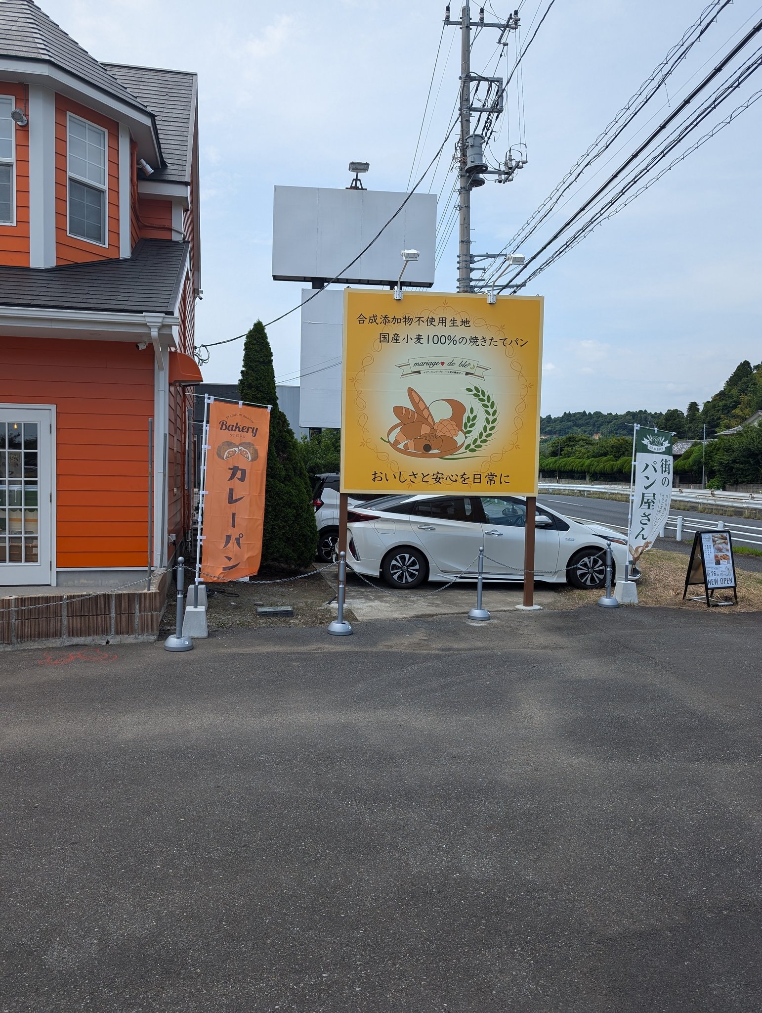 活動歴および当時の関連ビジュアル記録