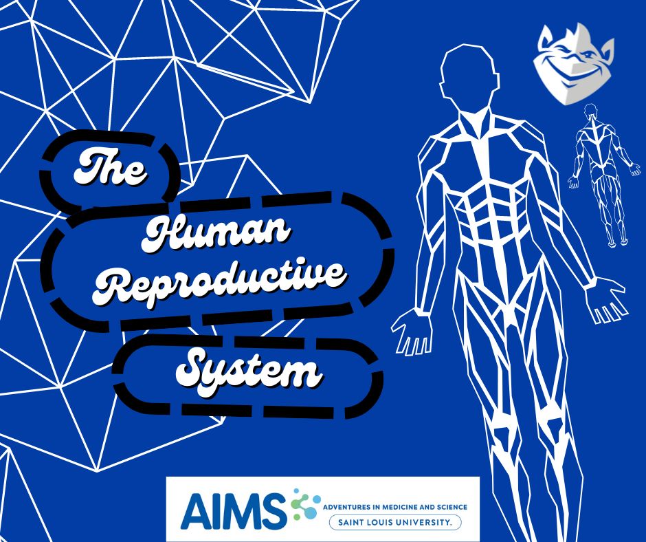 AIMS - Our 2024-2025 auditorium schedule is set to kick off in December ...