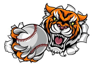 Croton - Announcing the 2025 Croton Tigers 12 u District 33 ...