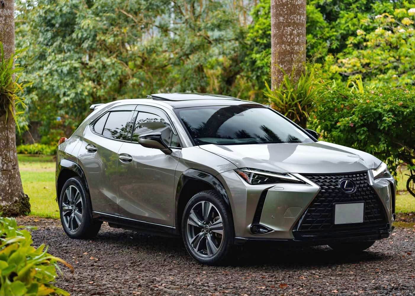 Lexus UX300E - Cars & Trucks - Vacoas-Phoenix | Facebook Marketplace ...