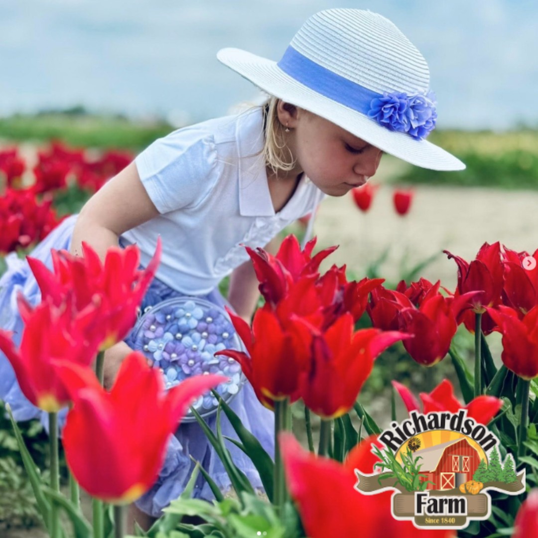 Trees - 🎄 Spirit Spotlight: Richardson Farm | Spring Grove, IL 🌷🎃🎄 From ...