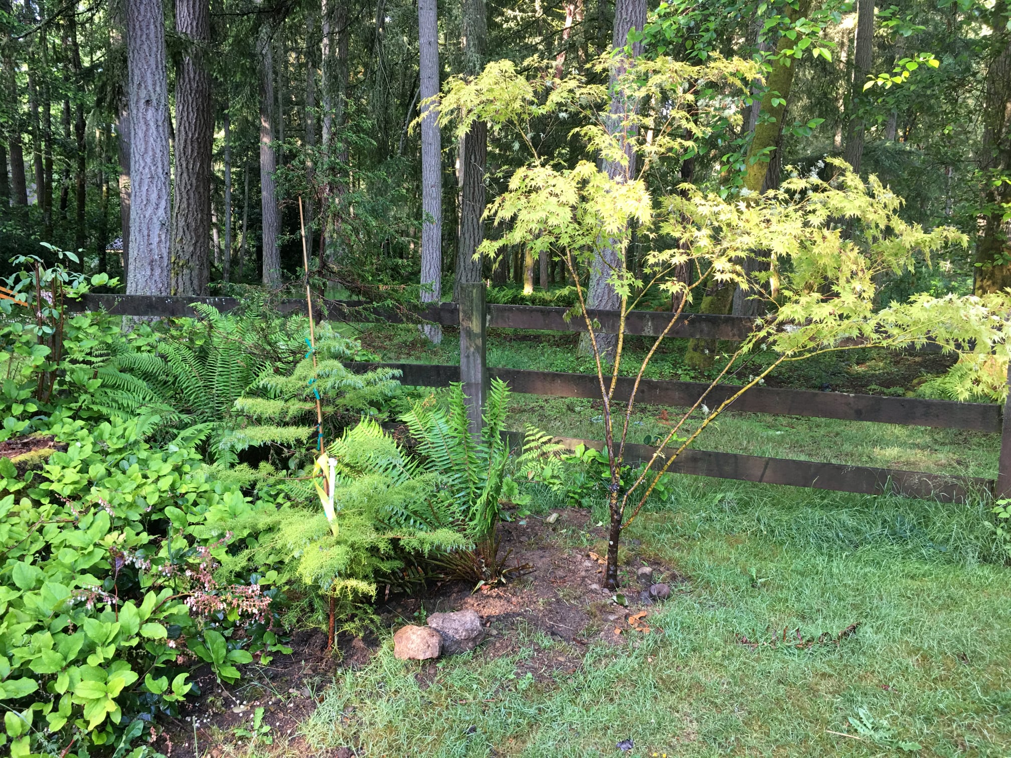 Woodland Gardens Event Venue | Vashon WA