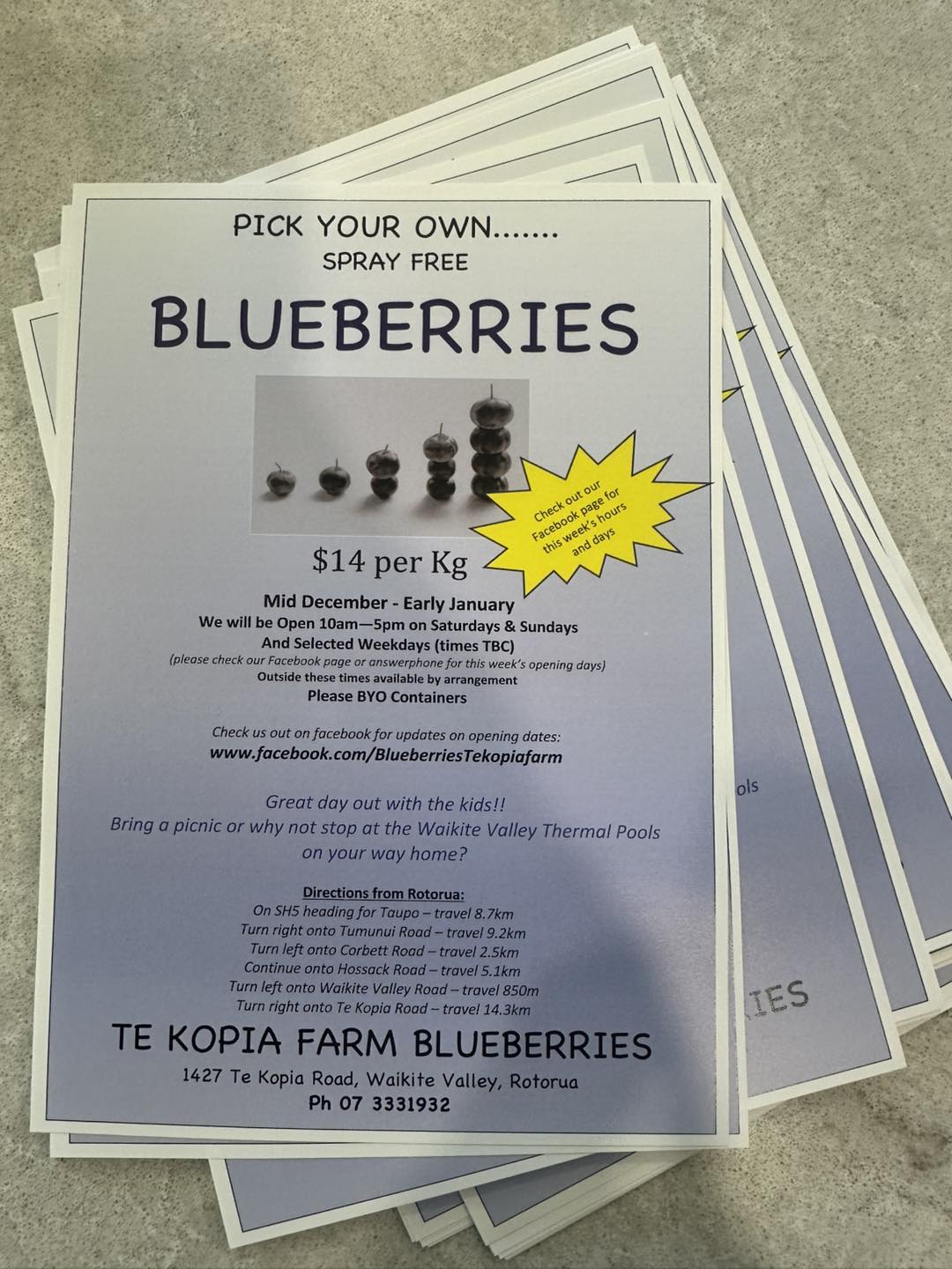 Te Kopia Farm Blueberries | Rotorua