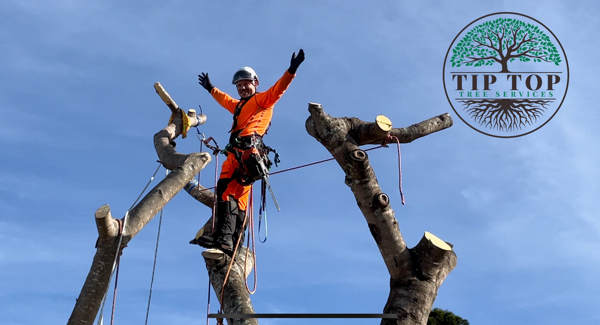 Meet Ryan King - the... - Tip Top Tree Services Gold Coast | Facebook