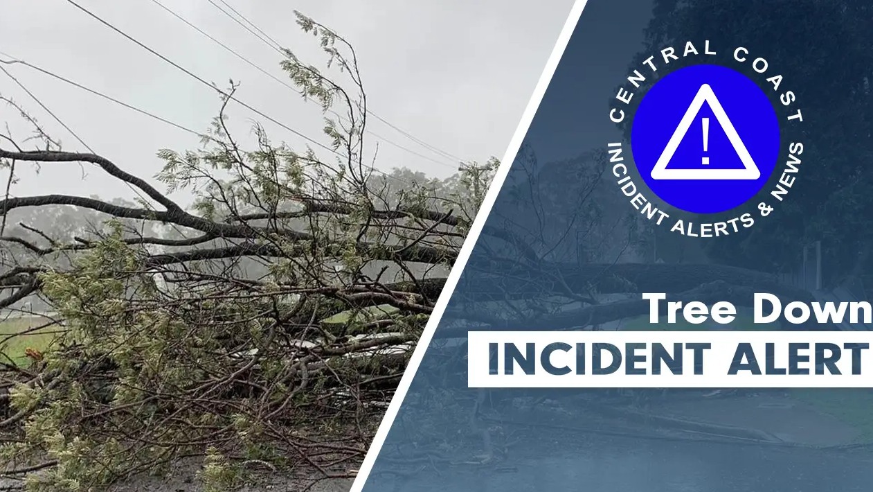 NSW - TREE DOWN | Kariong FINAL UPDATE: Tree has now been removed from ...