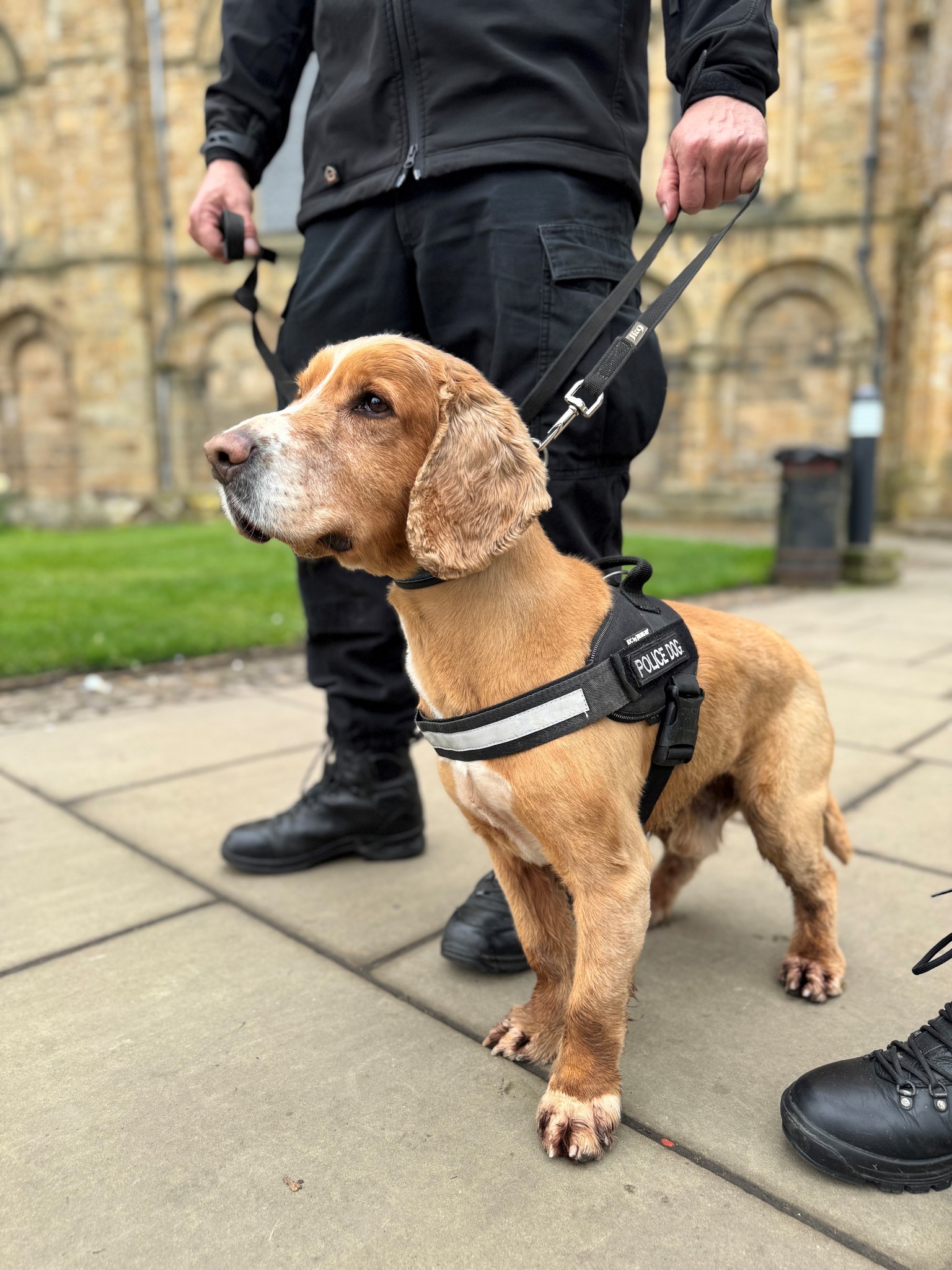 🐾 A warm welcome to Durham from PD... - Durham Constabulary | Facebook