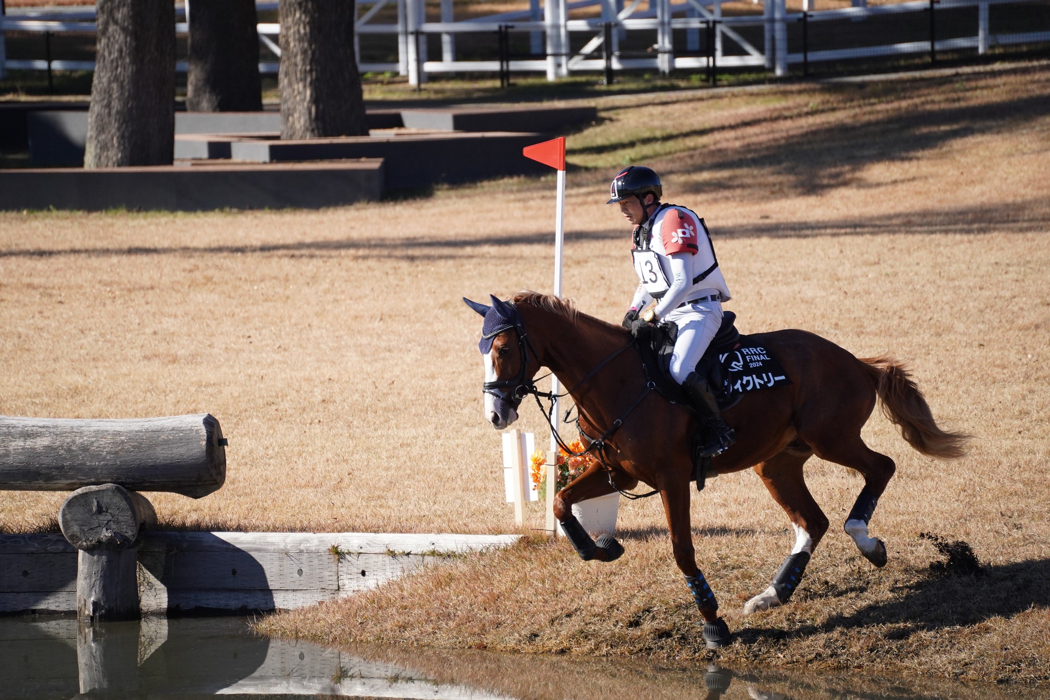 公益社団法人 全国乗馬倶楽部振興協会 - National Riding Club 