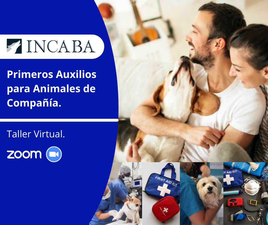 📢📢📢 Prepárate para... - Incaba Servicios Profesionales