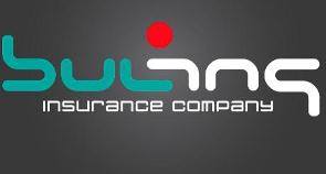 Профил за Бул Инс Видин
