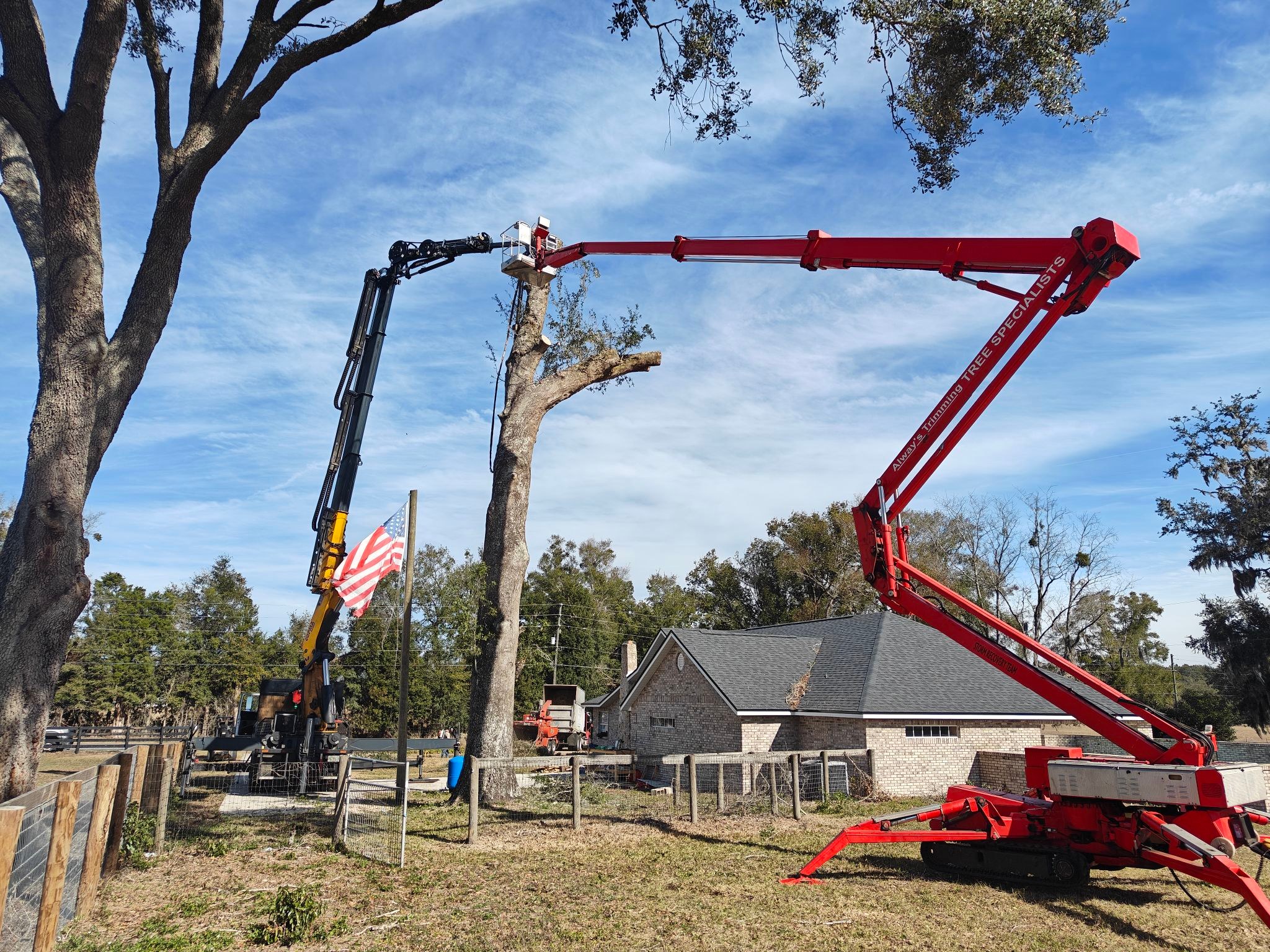 Always Trimming Tree Specialists | Ocala FL