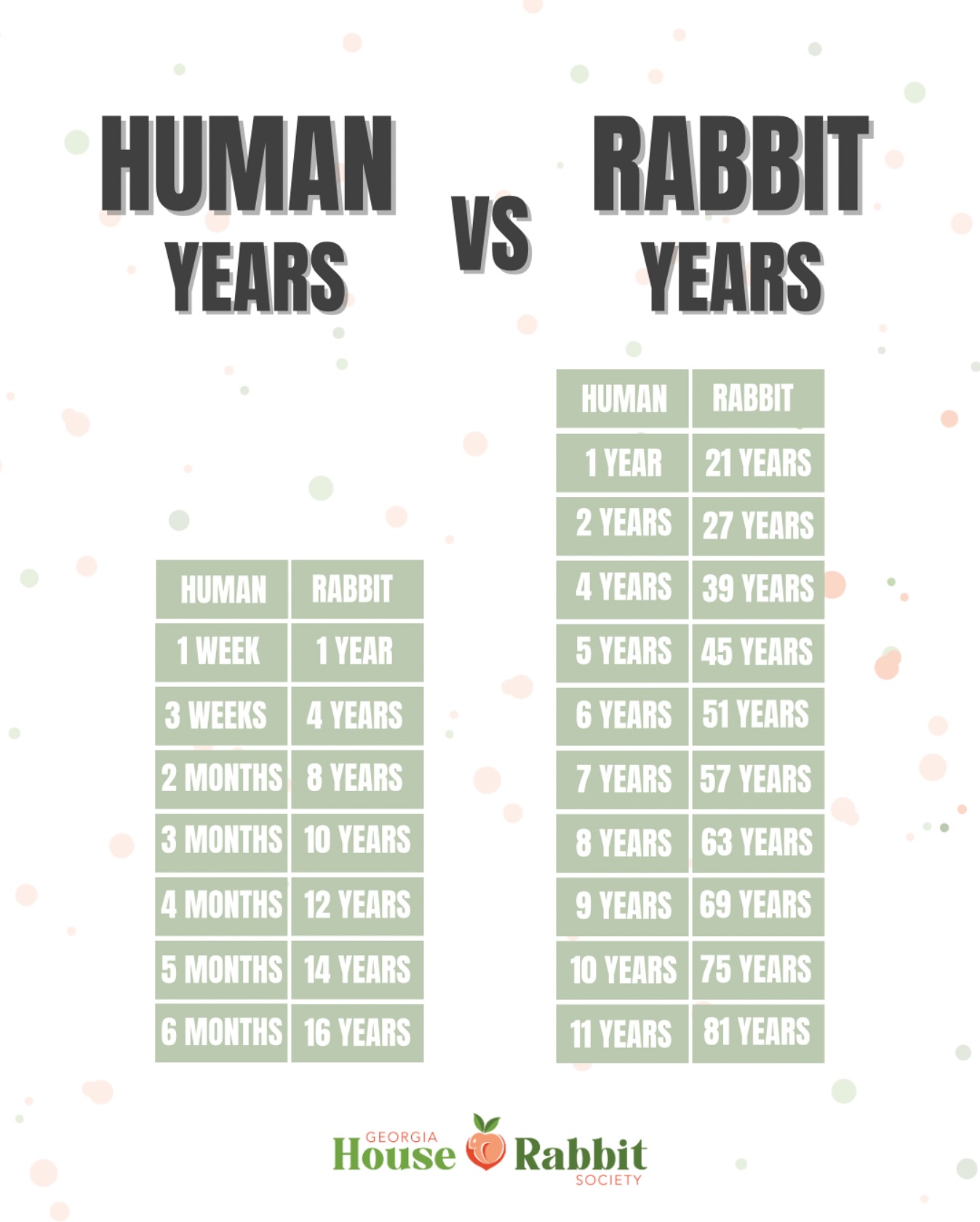 How old is your rabbit... - Georgia House Rabbit Society | Facebook