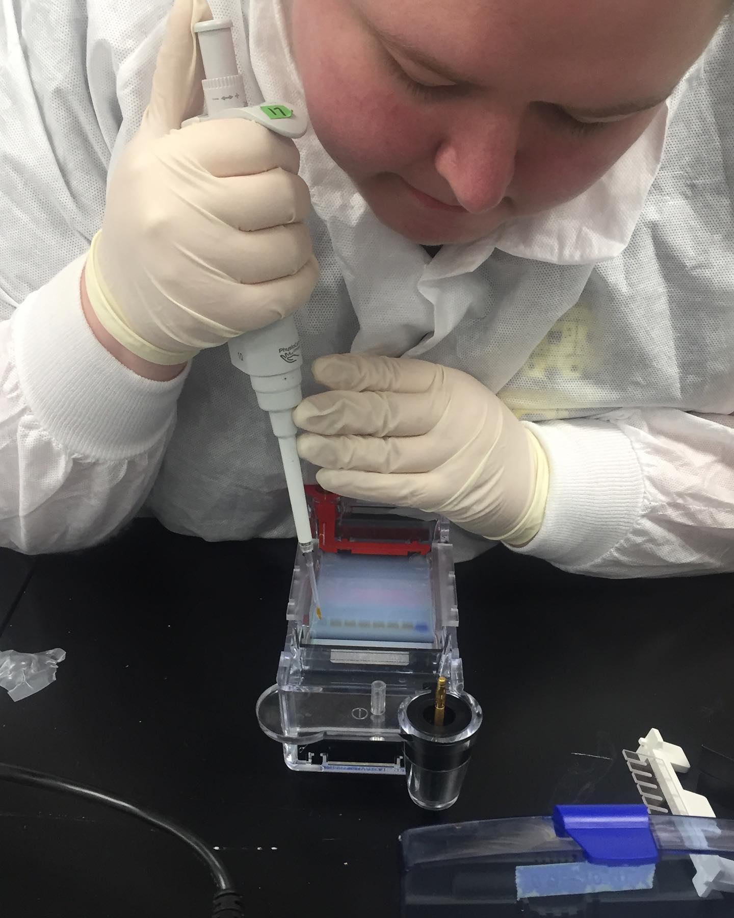 The Lab Rat Artist