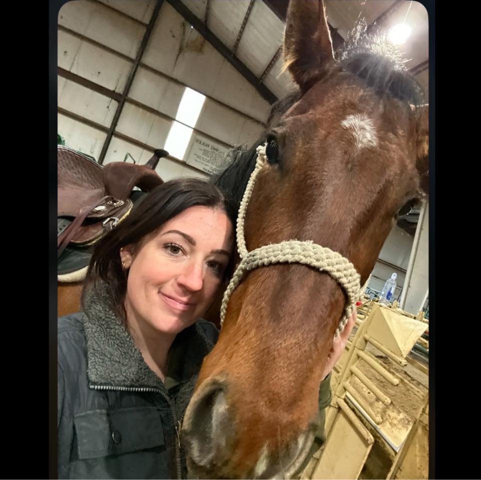 Utah Horse Council | Hello! I am looking for horse riding lessons for ...