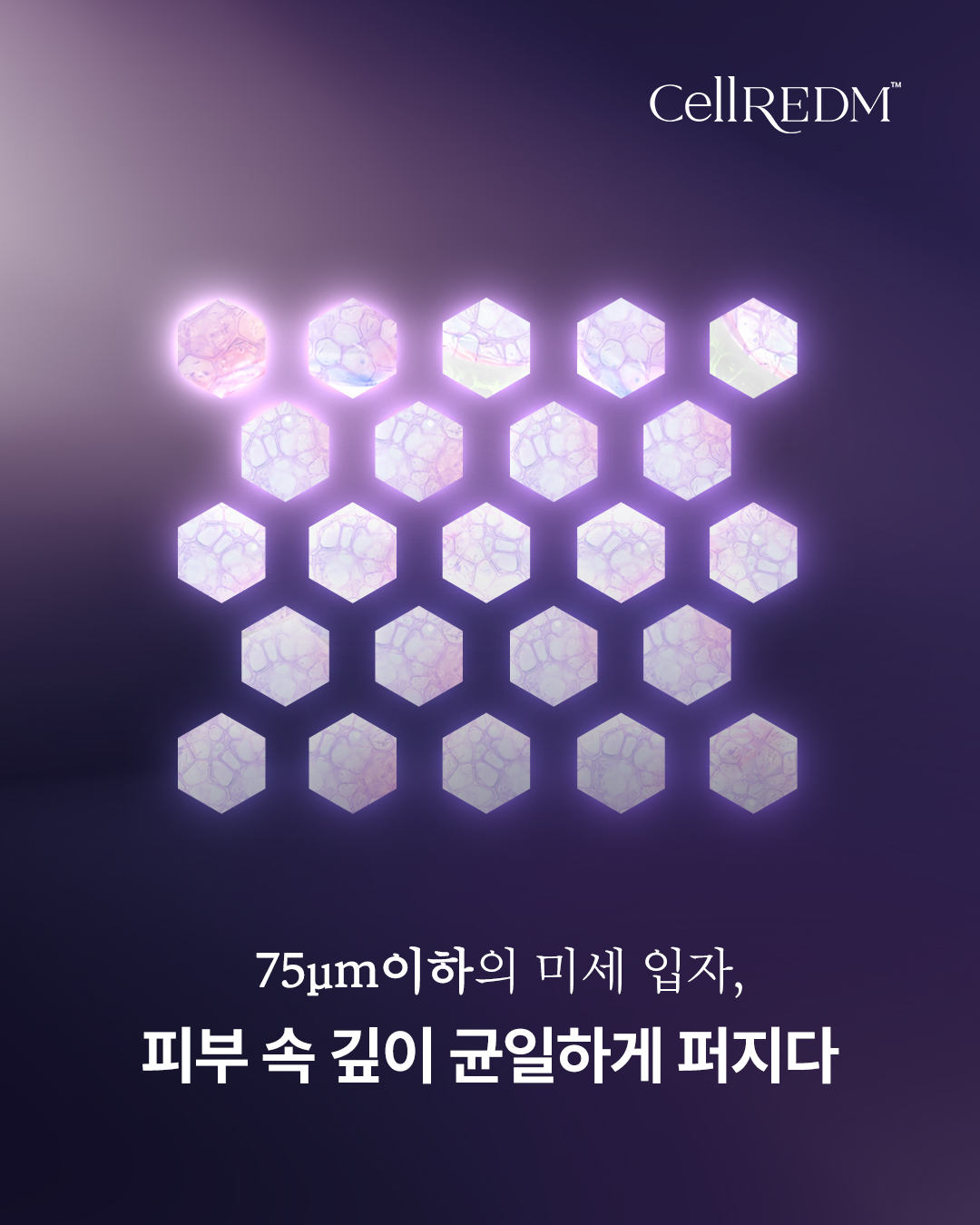 MINT - 미세 입자로 가공된 셀르디엠은 피부 조직 내에 자연스럽게 퍼져 균일하고 안정적으로 흡수됩니다💜 #스킨부스터 ...