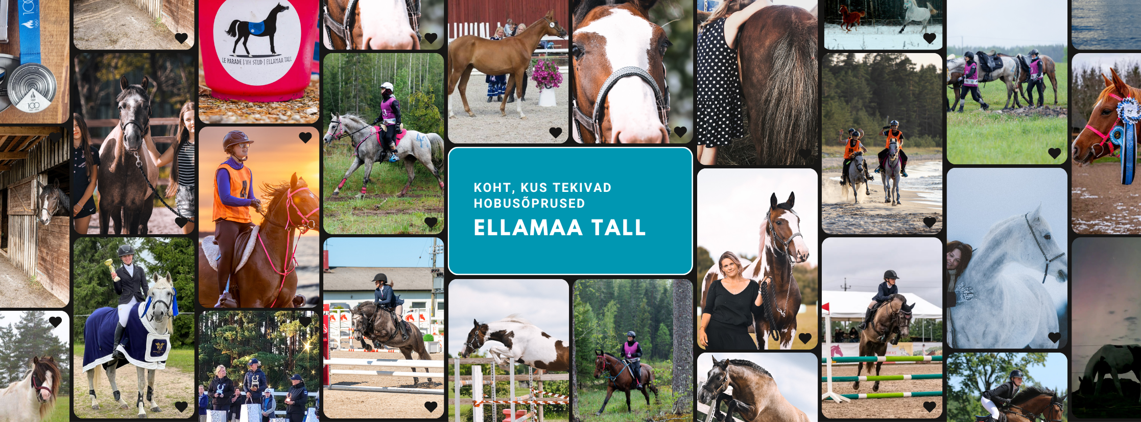 Ellamaa Tall