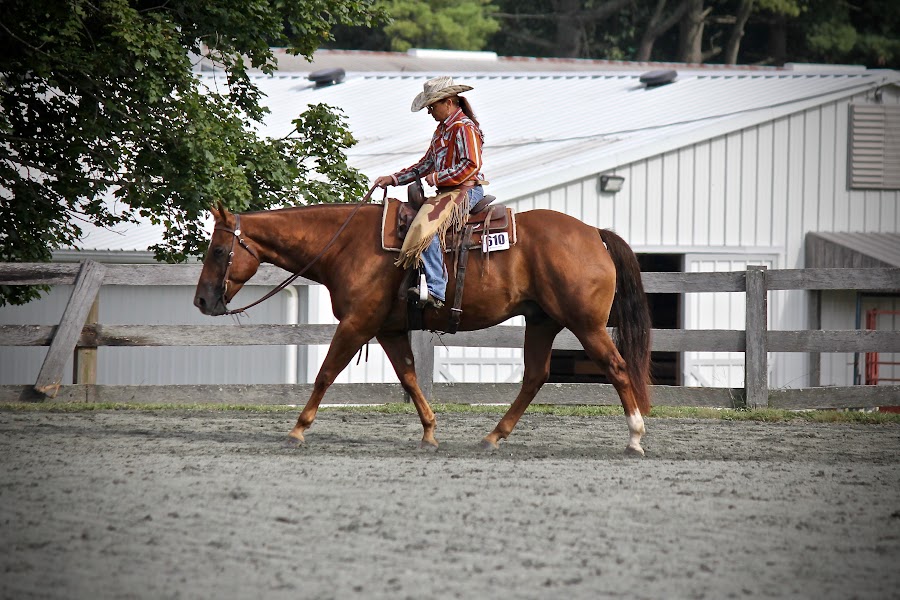 Ranch Clinic - ECRRA Region 2, Del Mar Ranch Riders