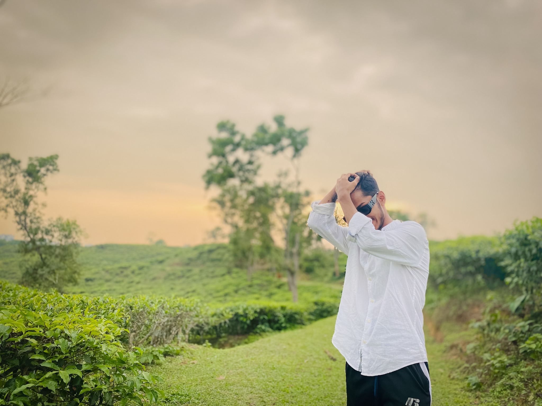 T H Raju