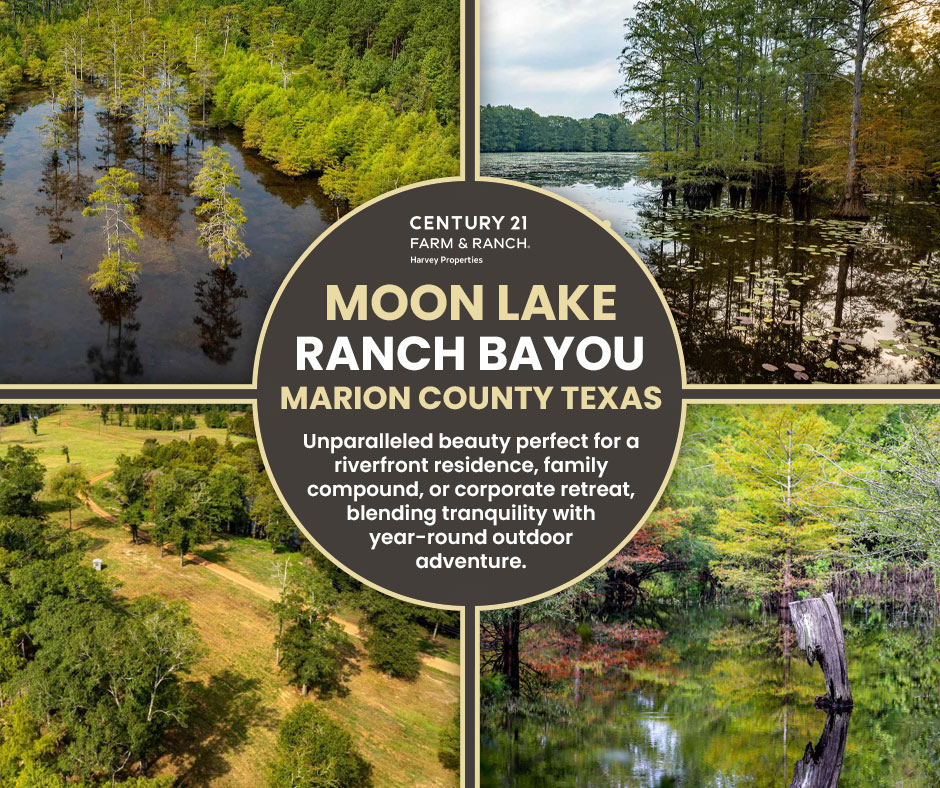 Century - Experience Moon Lake Ranch, where natural splendor meets ...