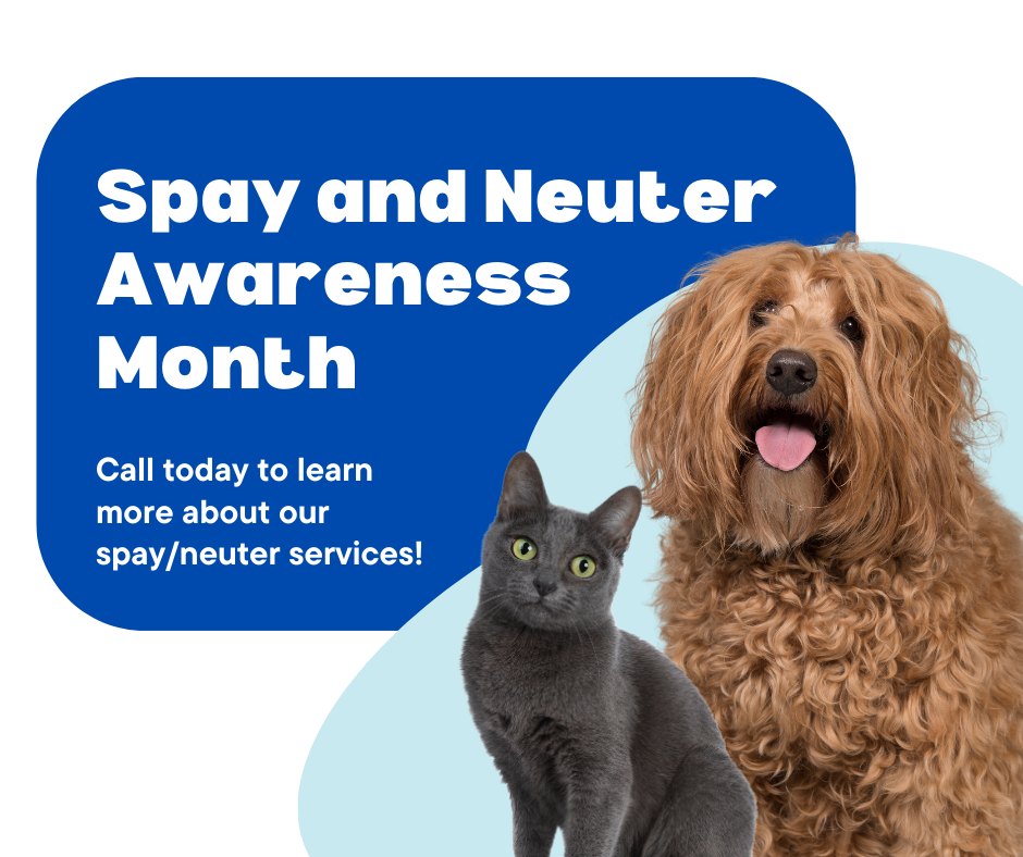 Hooves and Paws Pet Hospital