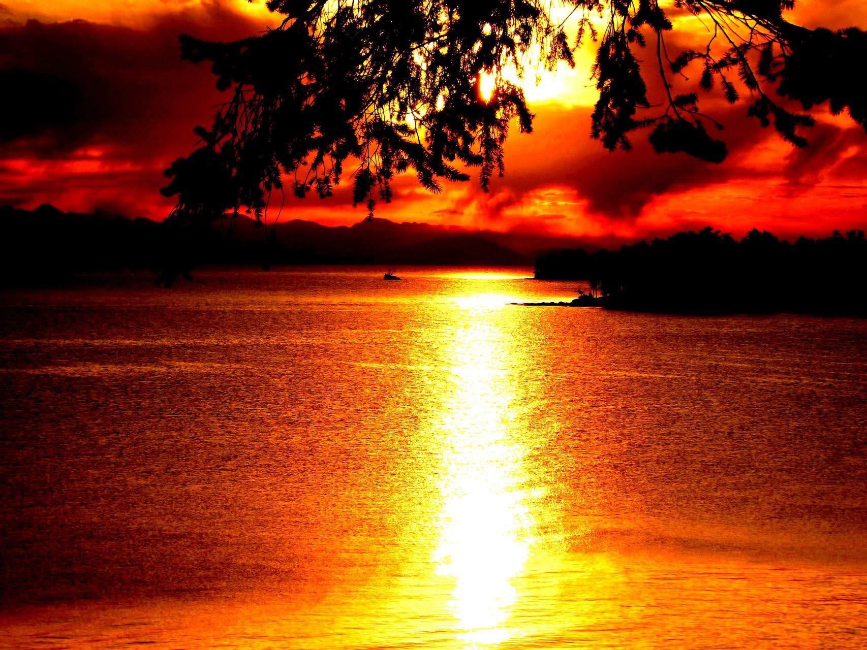 Black - Afternoon Rays Flickr | Facebook