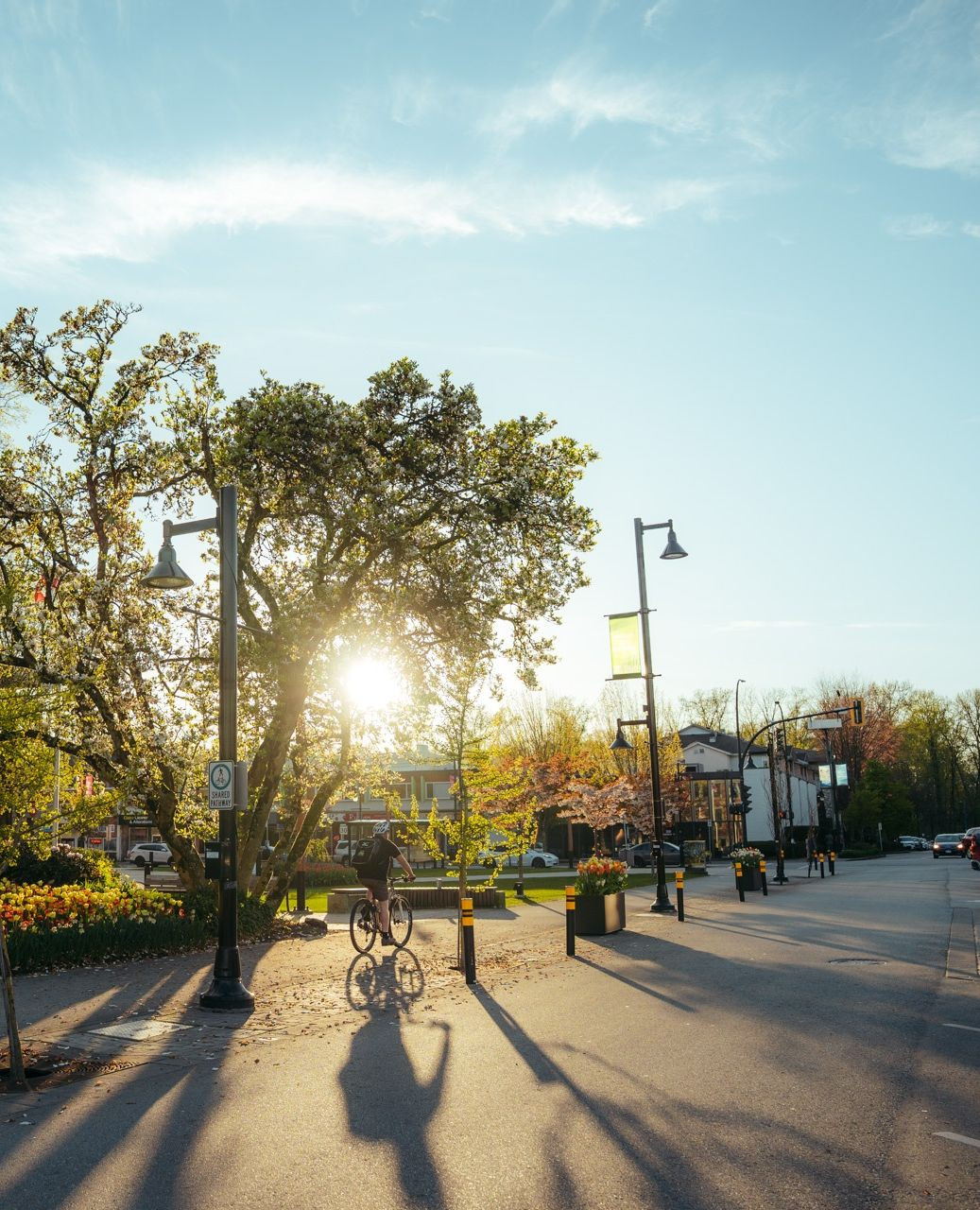 🎬 Filming Notice – Virgin River Season... - Downtown PoCo BIA | Facebook