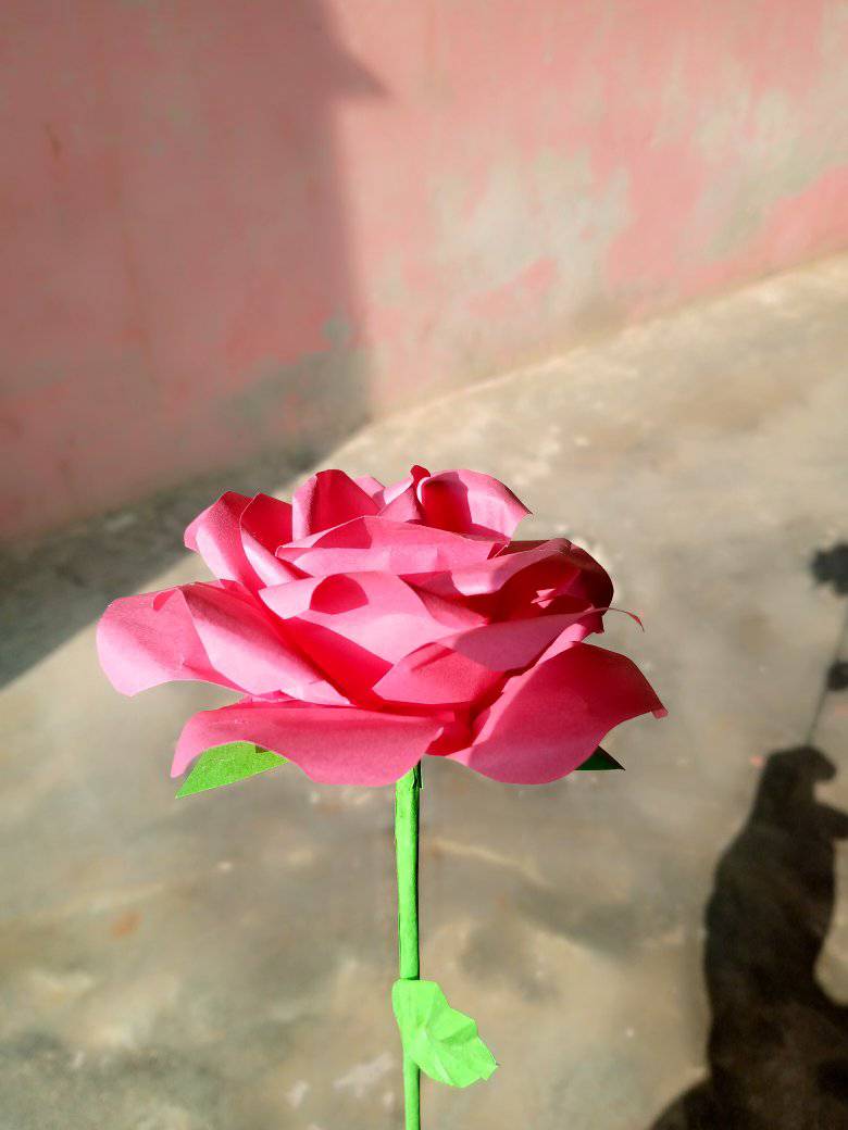 Anam Batool Rani